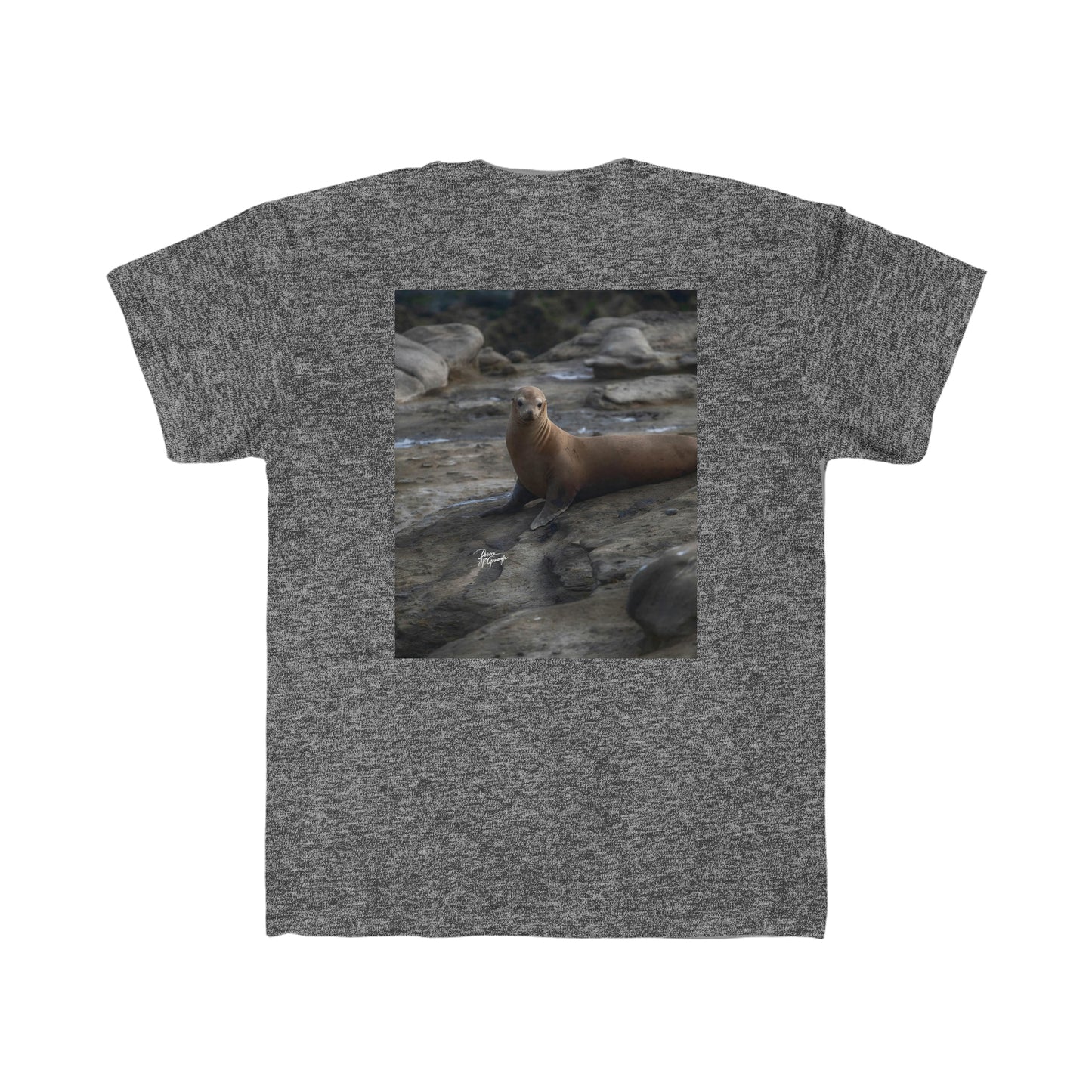 Kids T shirts Solitude Serenade Sea Lions, t shirts for kids, inspired by nature