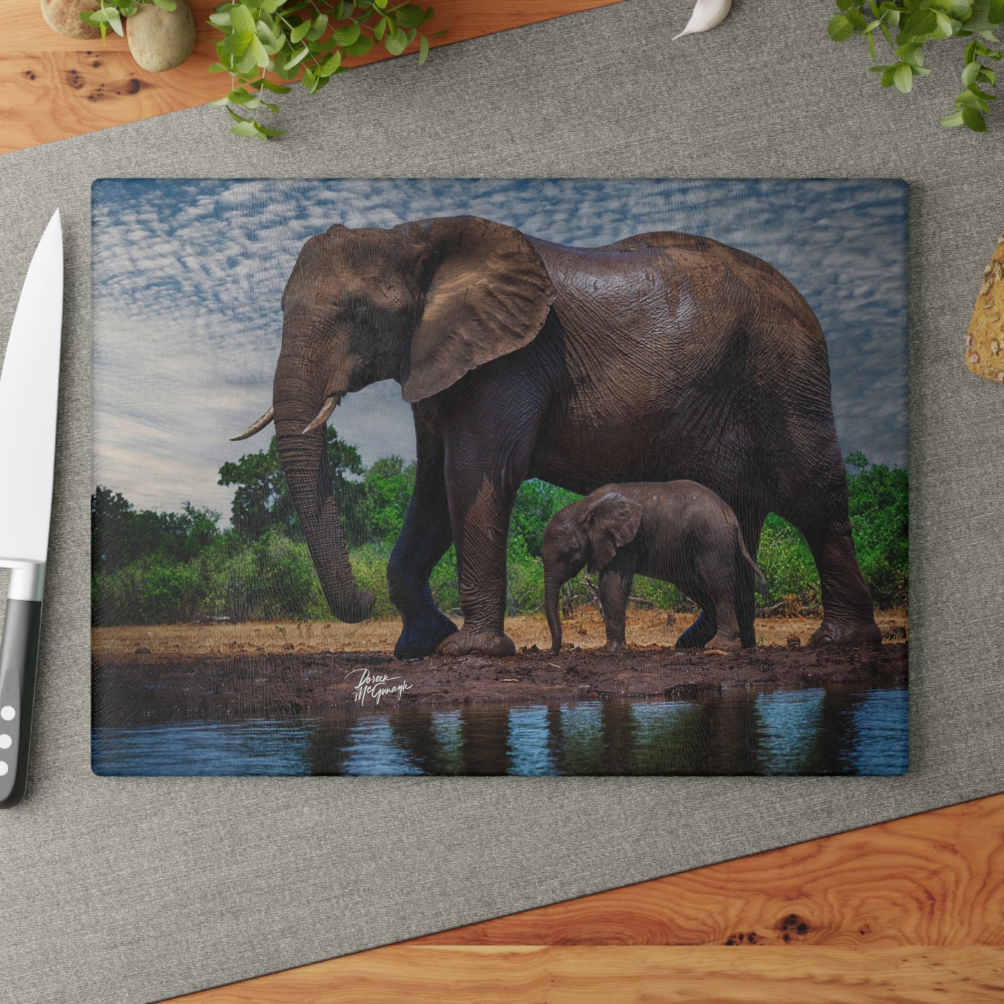 Enjoy Nature Glass Charcuterie Cutting Board with Elephant Baby Walking with Mom Design