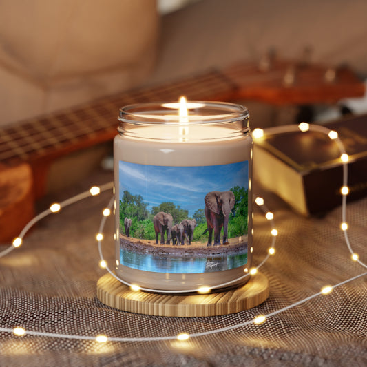 Experience the Pure Essence of Nature with the Elephant Family at Watering Hole Scented Soy Candle by Enjoy Nature