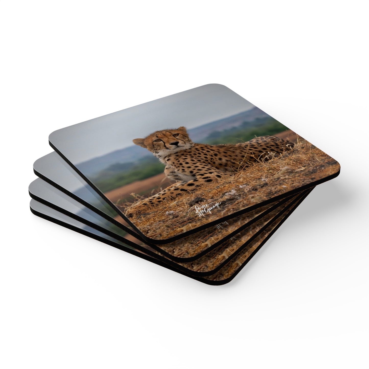 Cheetah Portrait Corkwood Coaster Set (Box of 4)