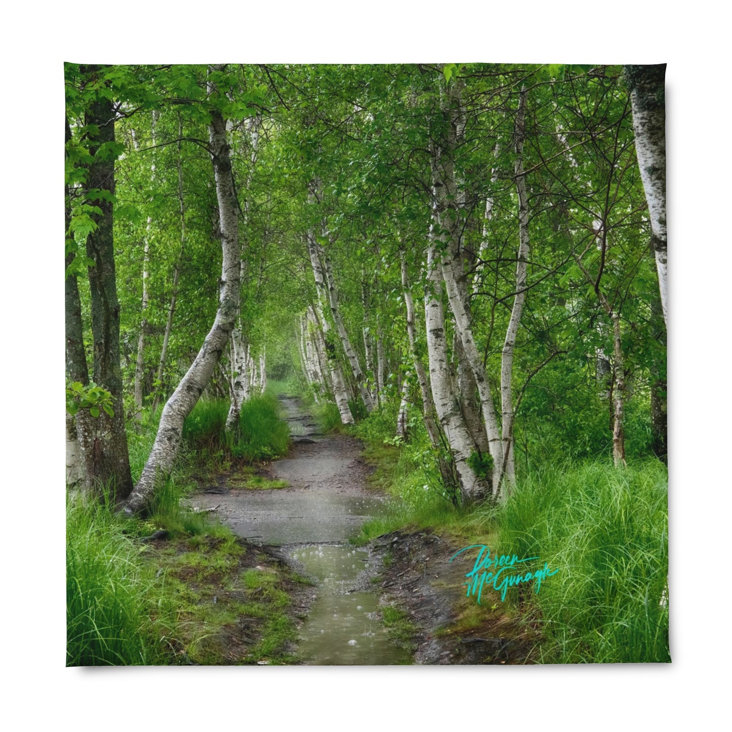 Silver Birch Path, Duvet Cover