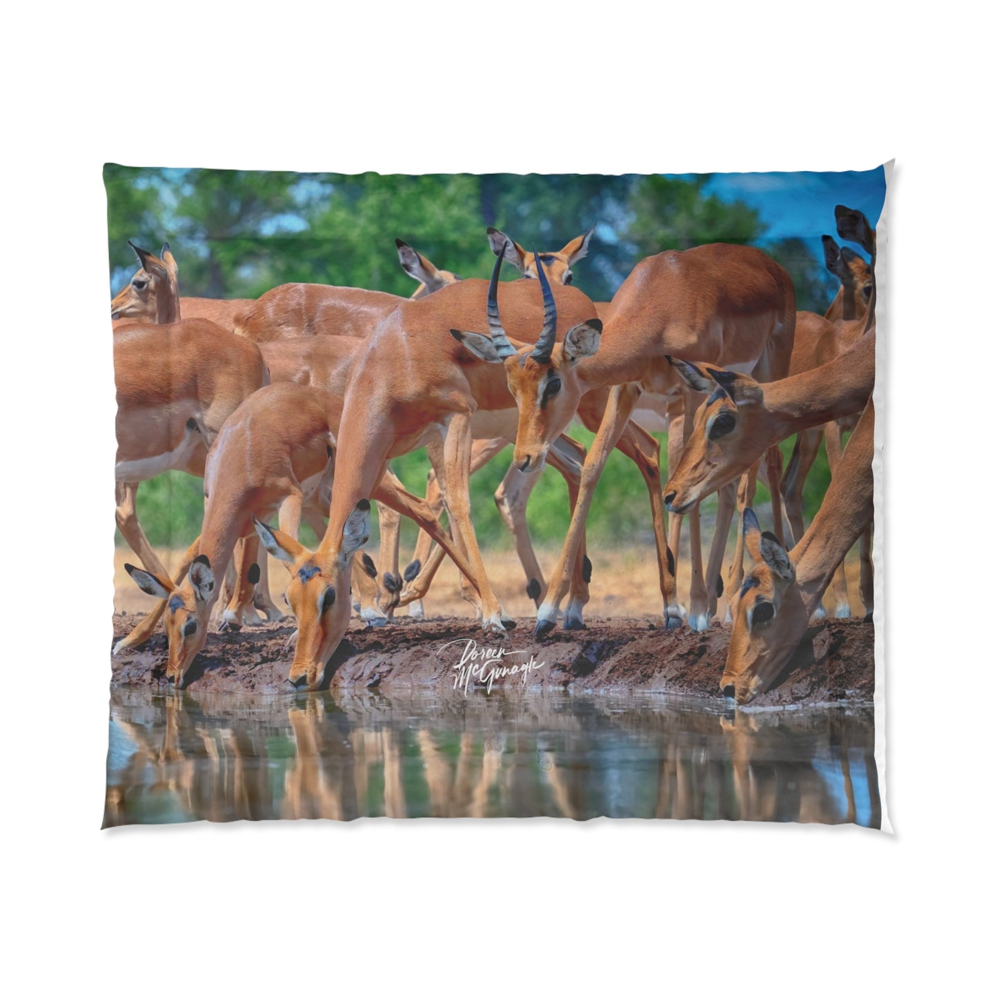 African Antelope at Watering Hole Comforter by Enjoy Nature