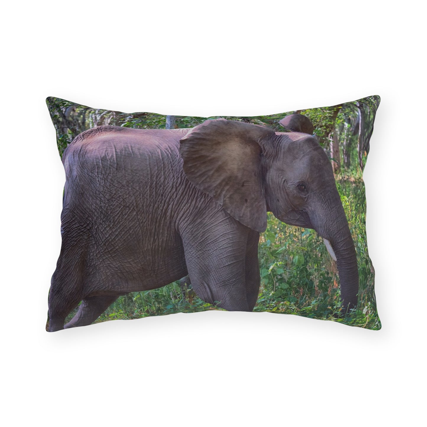 Enjoy Nature Outdoor Pillow with Elephant Baby in Forest – Artistic, Comfy, and Durable Decorative Accent