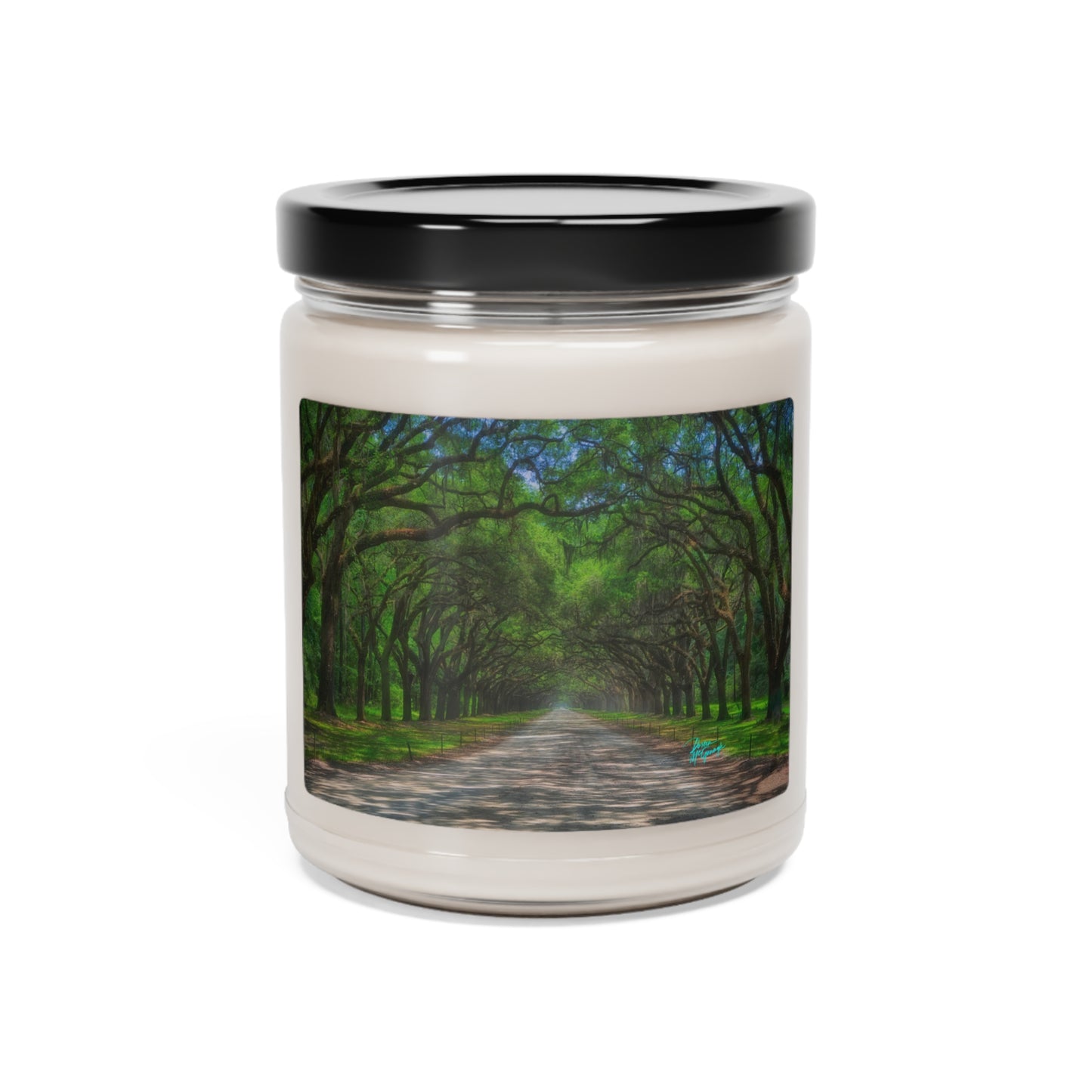 Natural Scented Soy Candles Live Oak Avenue, 9oz, nature inspired decor