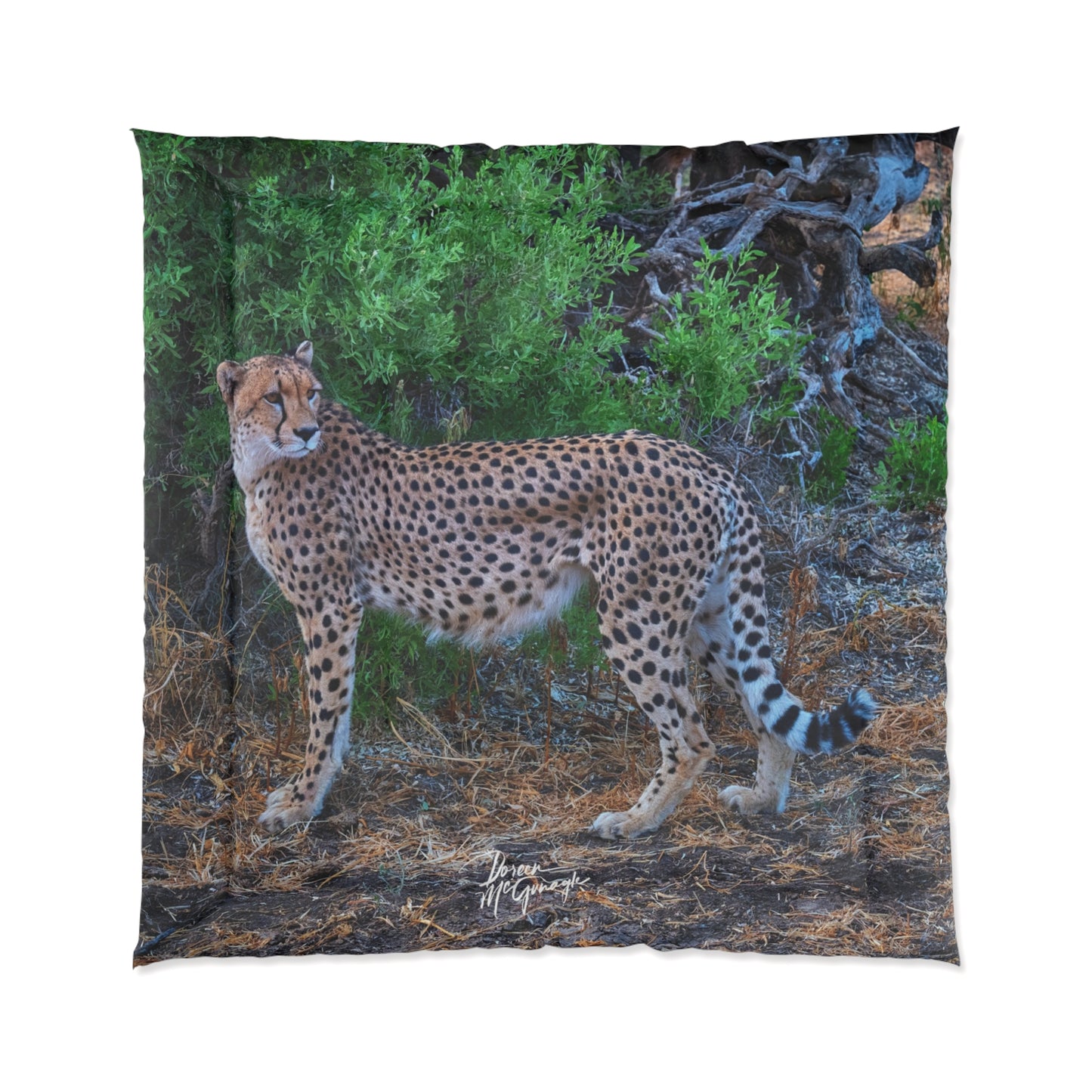 Cheetah Stand Comforter by Enjoy Nature