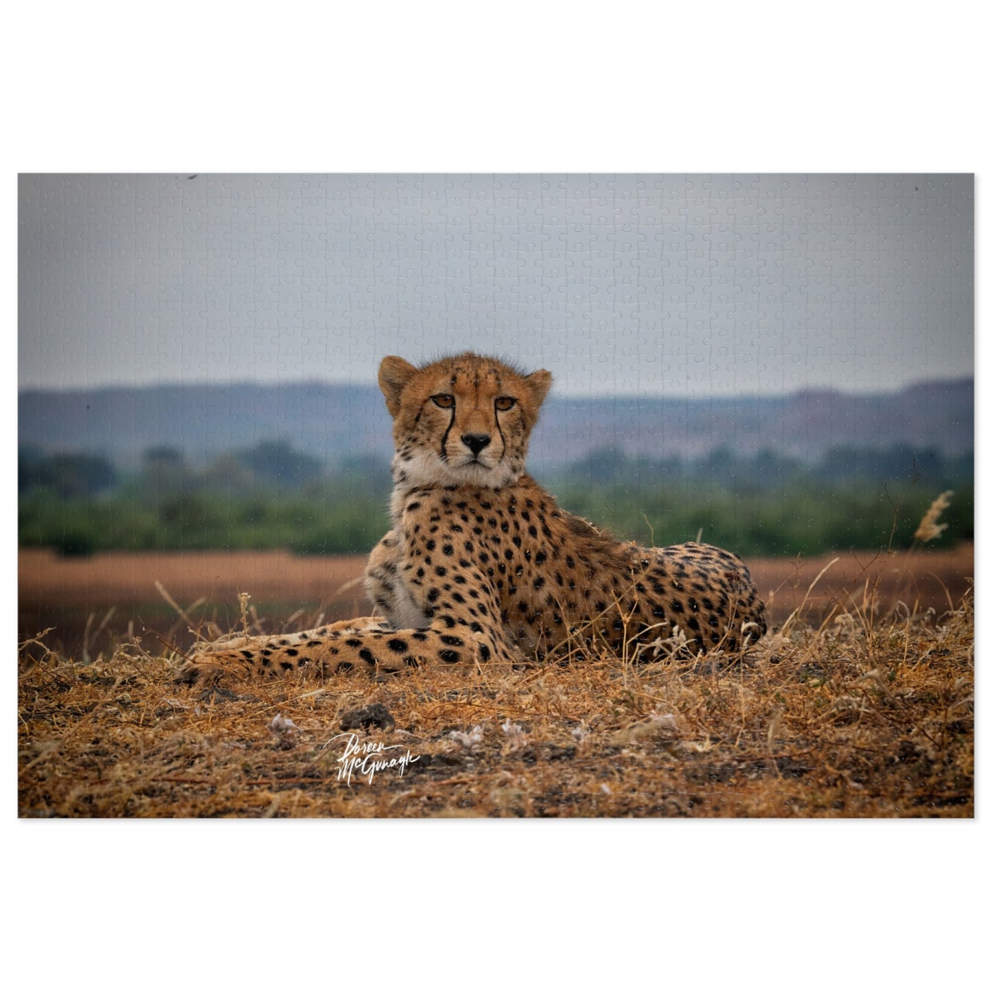 Cheetah Portrait Jigsaw Puzzle by Enjoy Nature