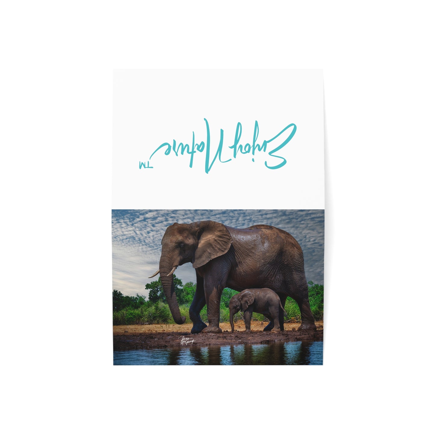 5x7 note cards of Elephant mom w baby (10 pcs)