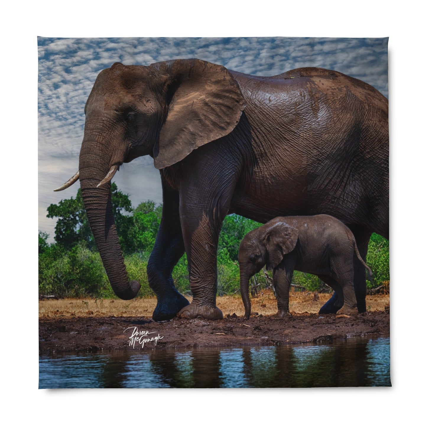 Enjoy Nature Baby Elephant with Mom at Watering Hole Duvet Cover