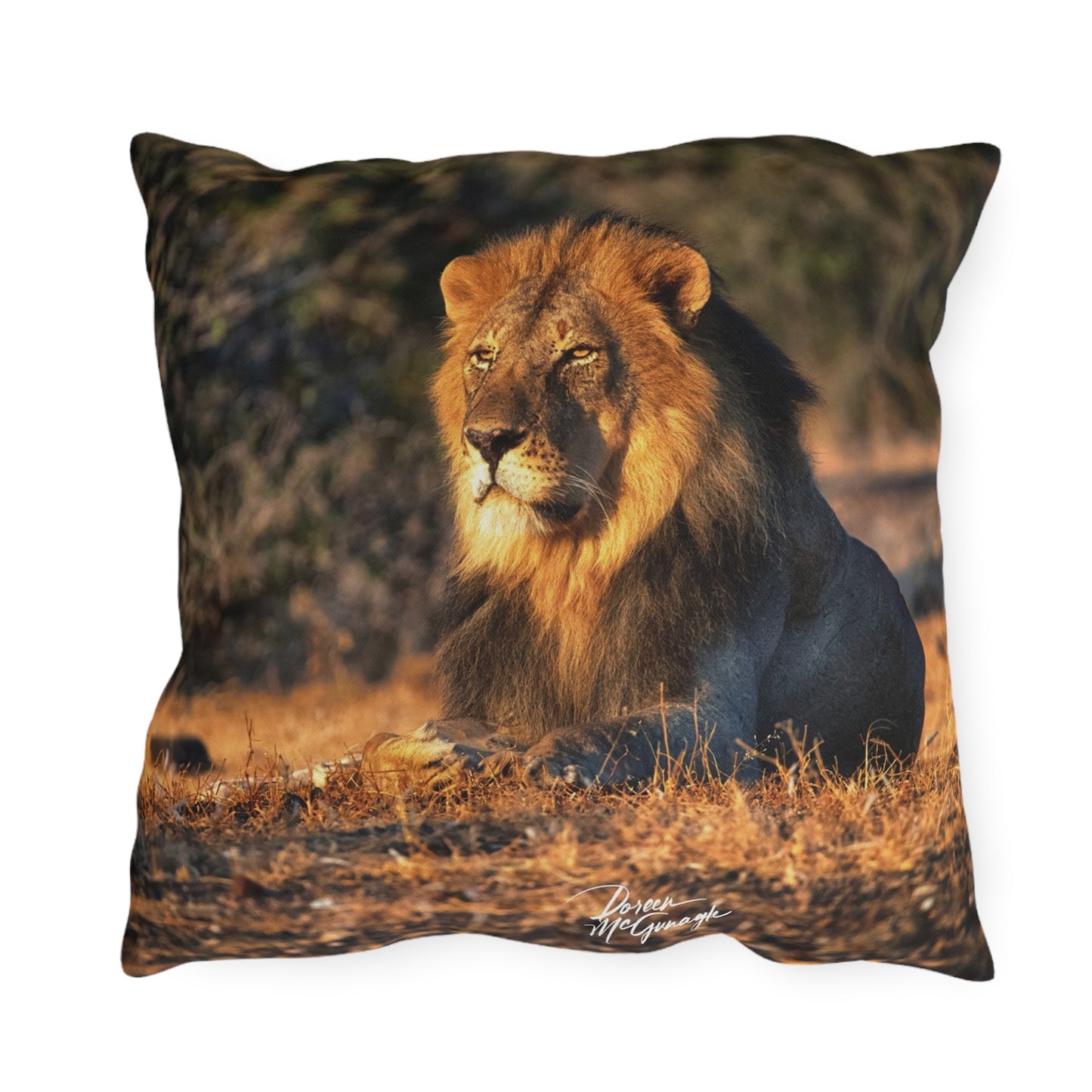 Enjoy Nature Outdoor Pillow with Lion King of Jungle – Artistic, Comfy, and Durable Decorative Accent