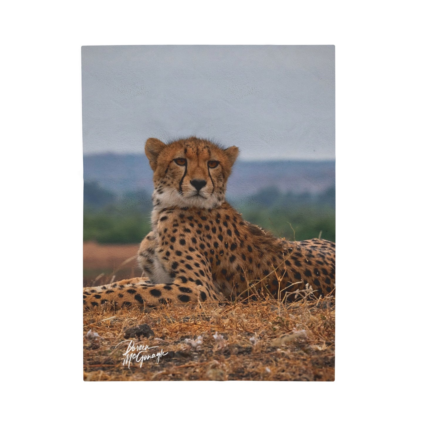 Velveteen Plush Blanket with Cheetah Portrait by Enjoy Nature