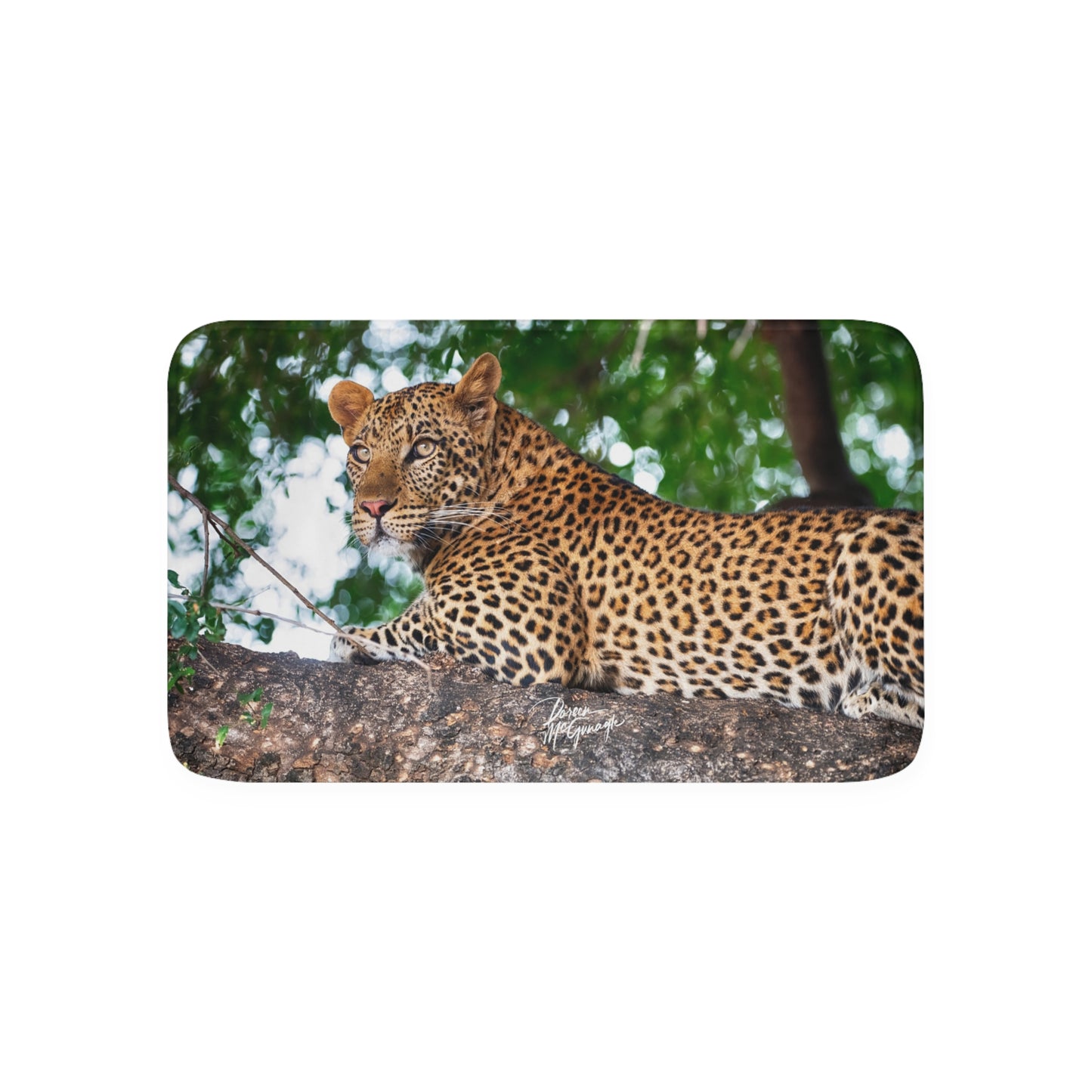 Leopard in Tree Memory Foam Bath Mat from Enjoy Nature