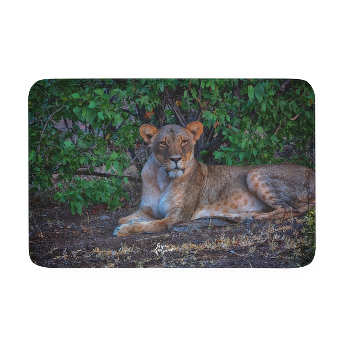 Dreaming About a Lioness Memory Foam Bath Mat from Enjoy Nature