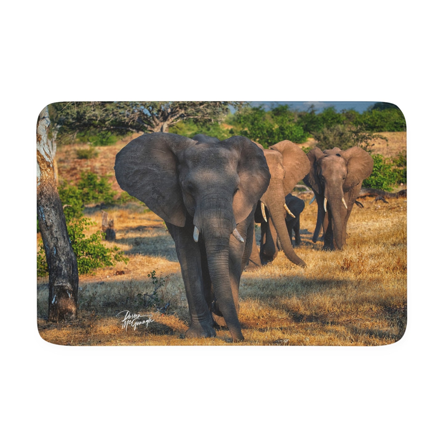 Elephant Family Memory Foam Bath Mat from Enjoy Nature