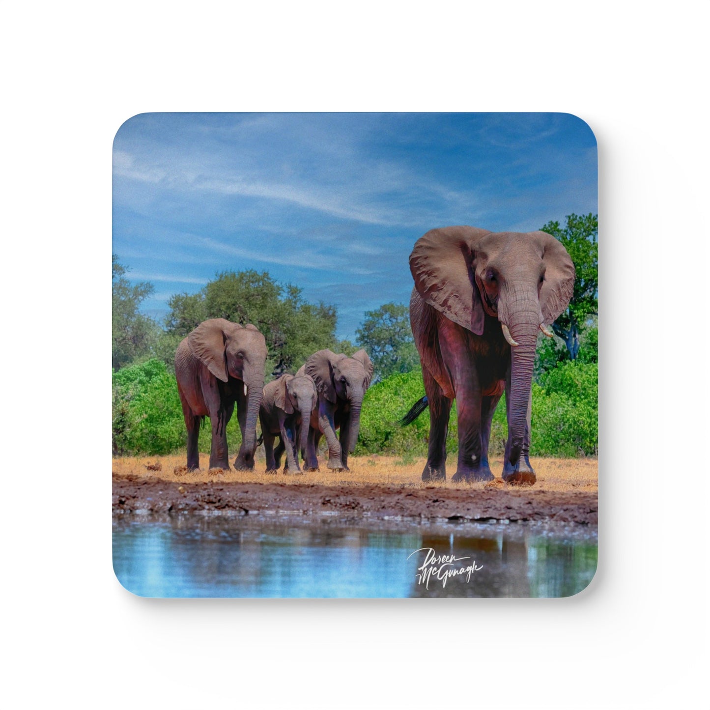 Elephant Family Corkwood Coaster Set (Box of 4)