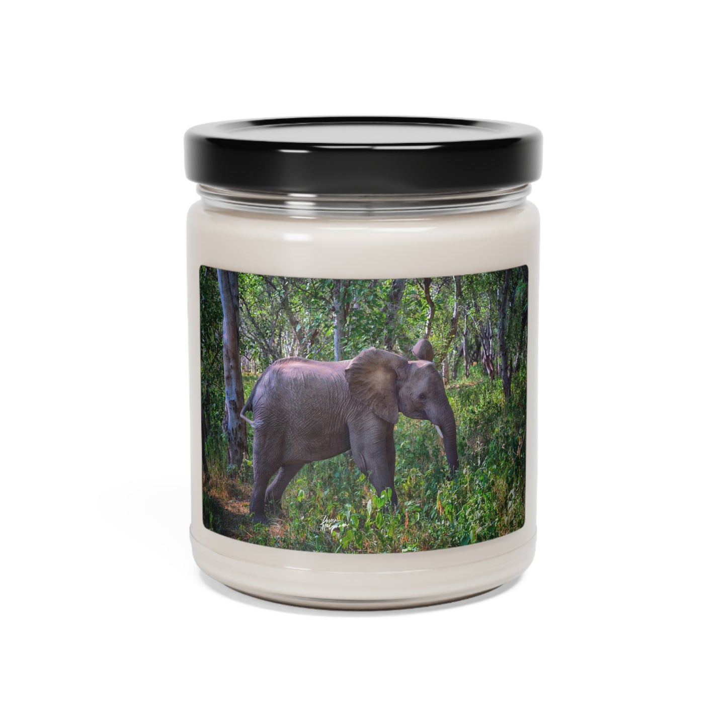 Experience the Pure Essence of Nature with the Elephant Baby in Forest Scented Soy Candle by Enjoy Nature