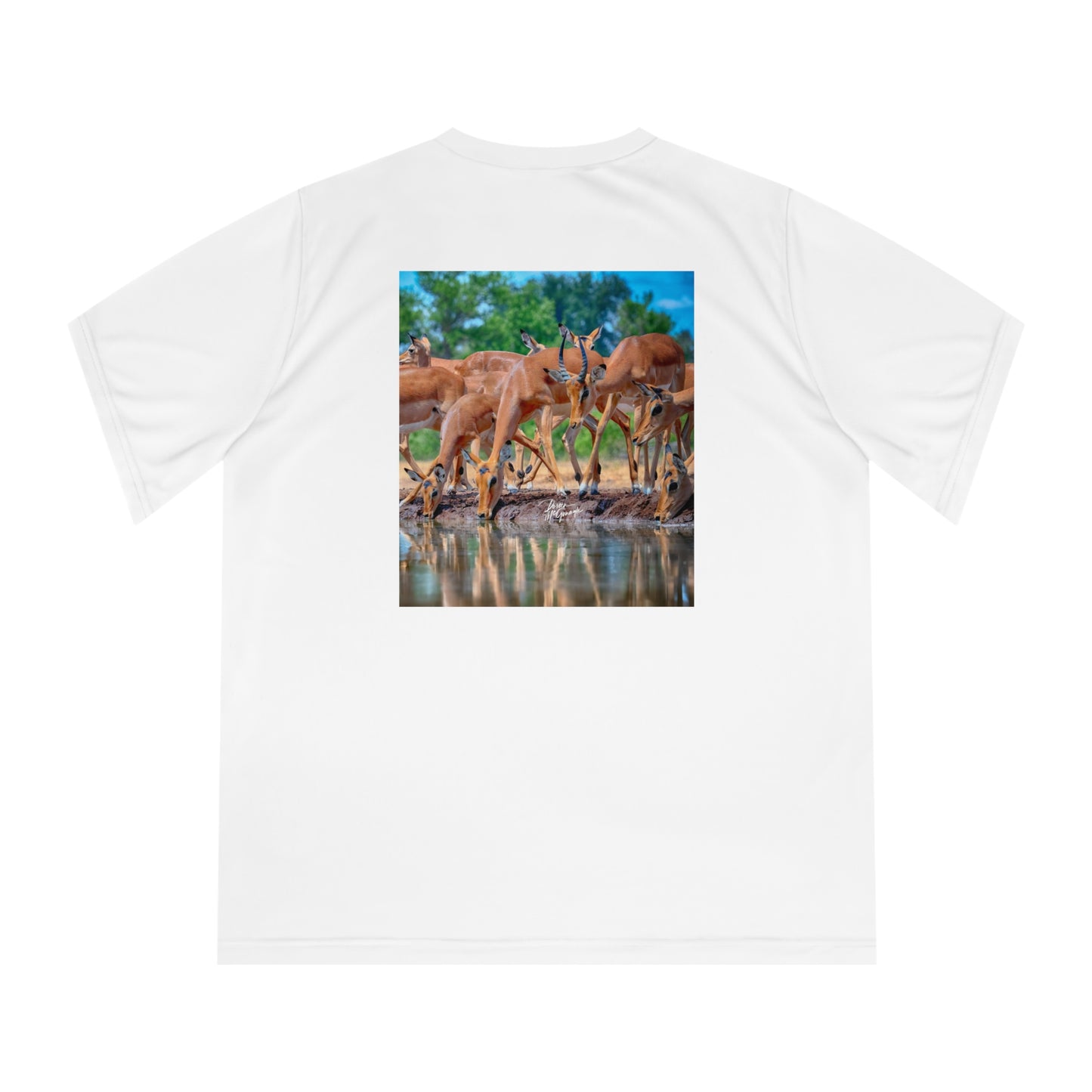 Women's Performance V-Neck T-Shirt - African Antelope by Enjoy Nature