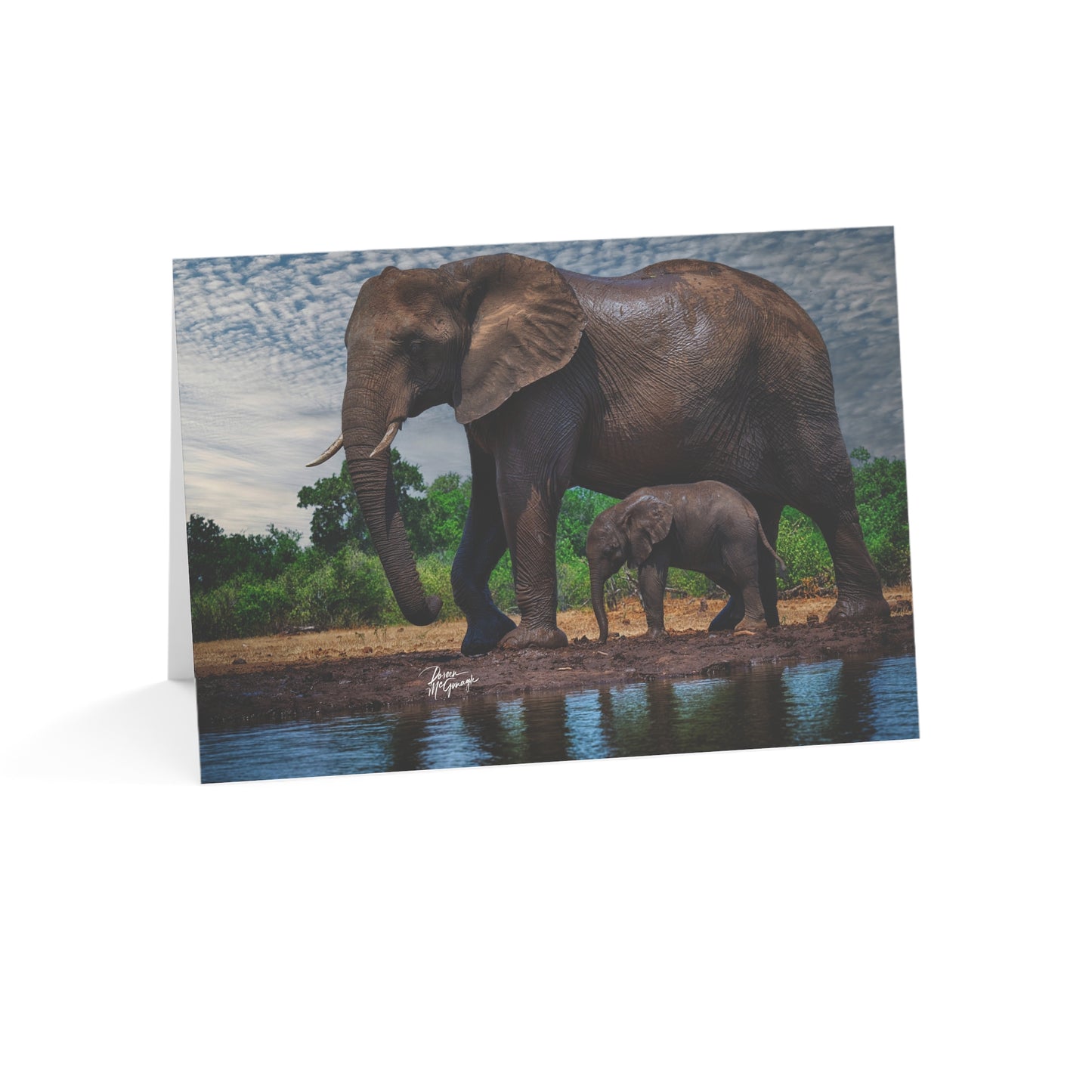 5x7 note cards of Elephant mom w baby (10 pcs)