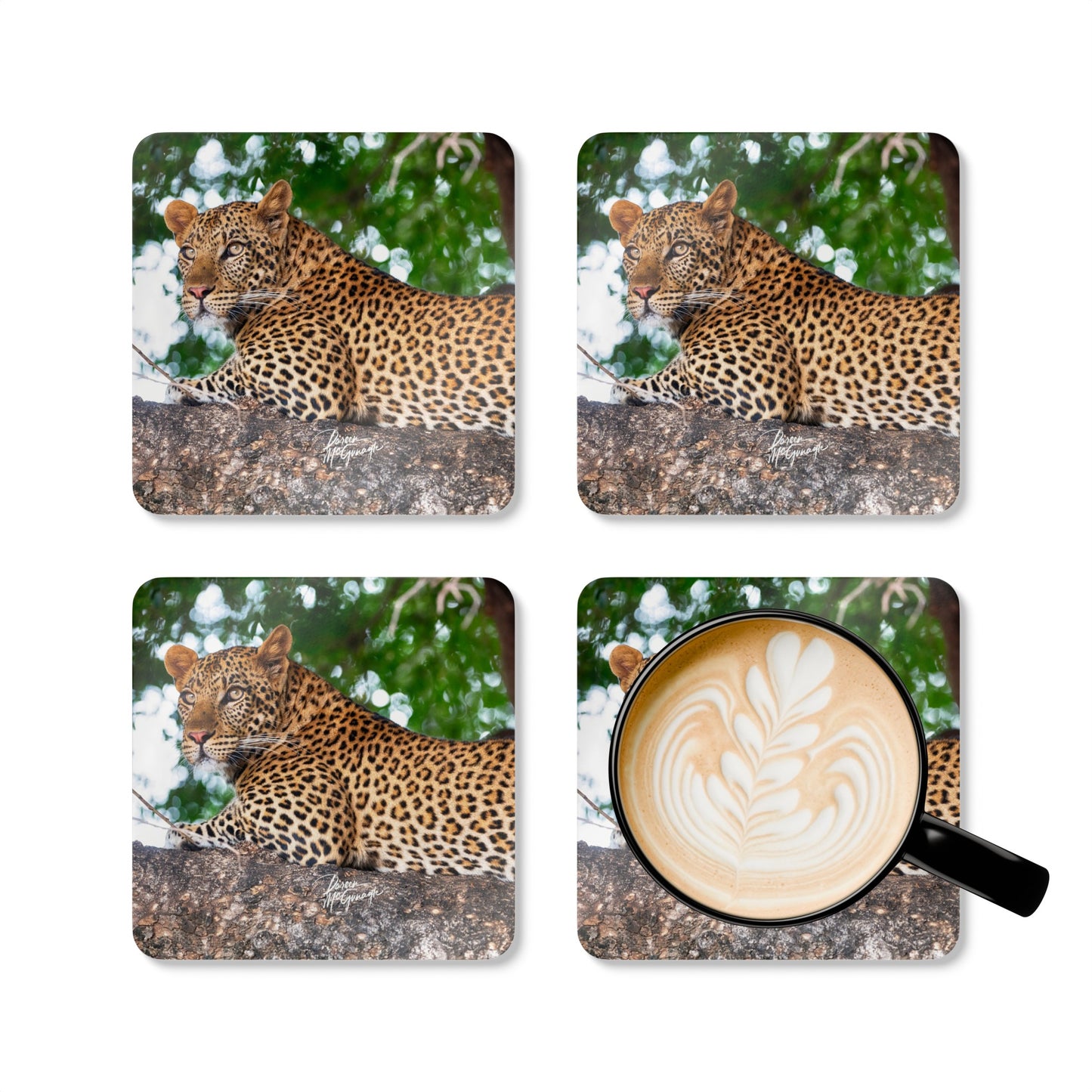 Leopard in Tree Corkwood Coaster Set (Box of 4)