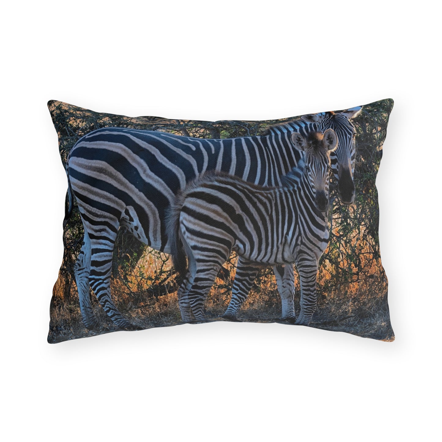 Enjoy Nature Outdoor Pillow with Zebra Stripes – Artistic, Comfy, and Durable Decorative Accent