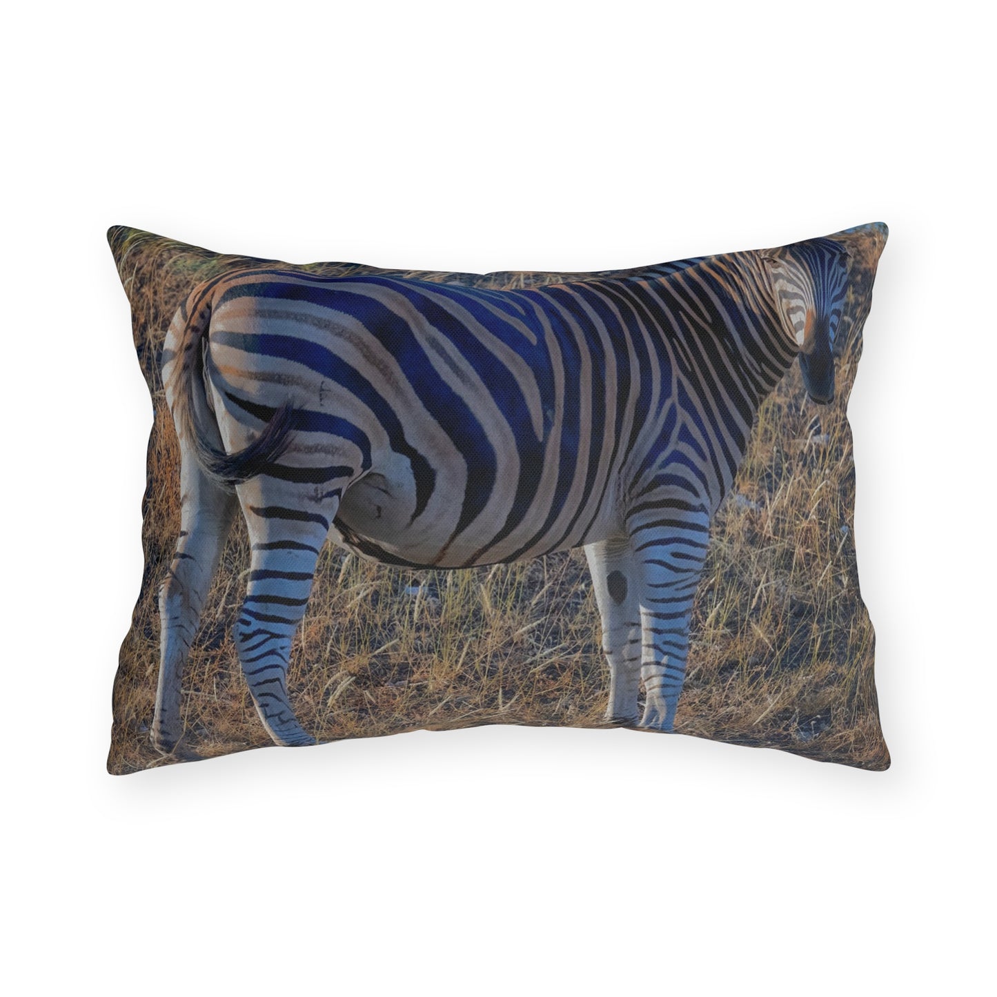 Enjoy Nature Outdoor Pillow with Baby Zebra – Artistic, Comfy, and Durable Decorative Accent