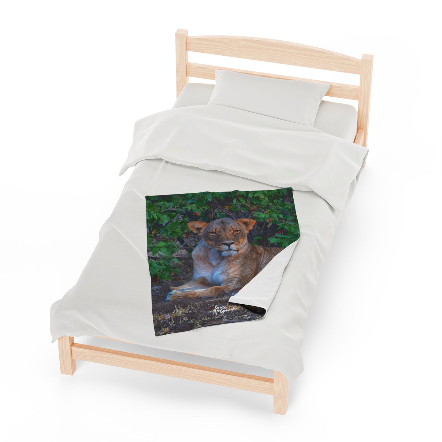 Velveteen Plush Blanket with Dreaming About a Lioness by Enjoy Nature