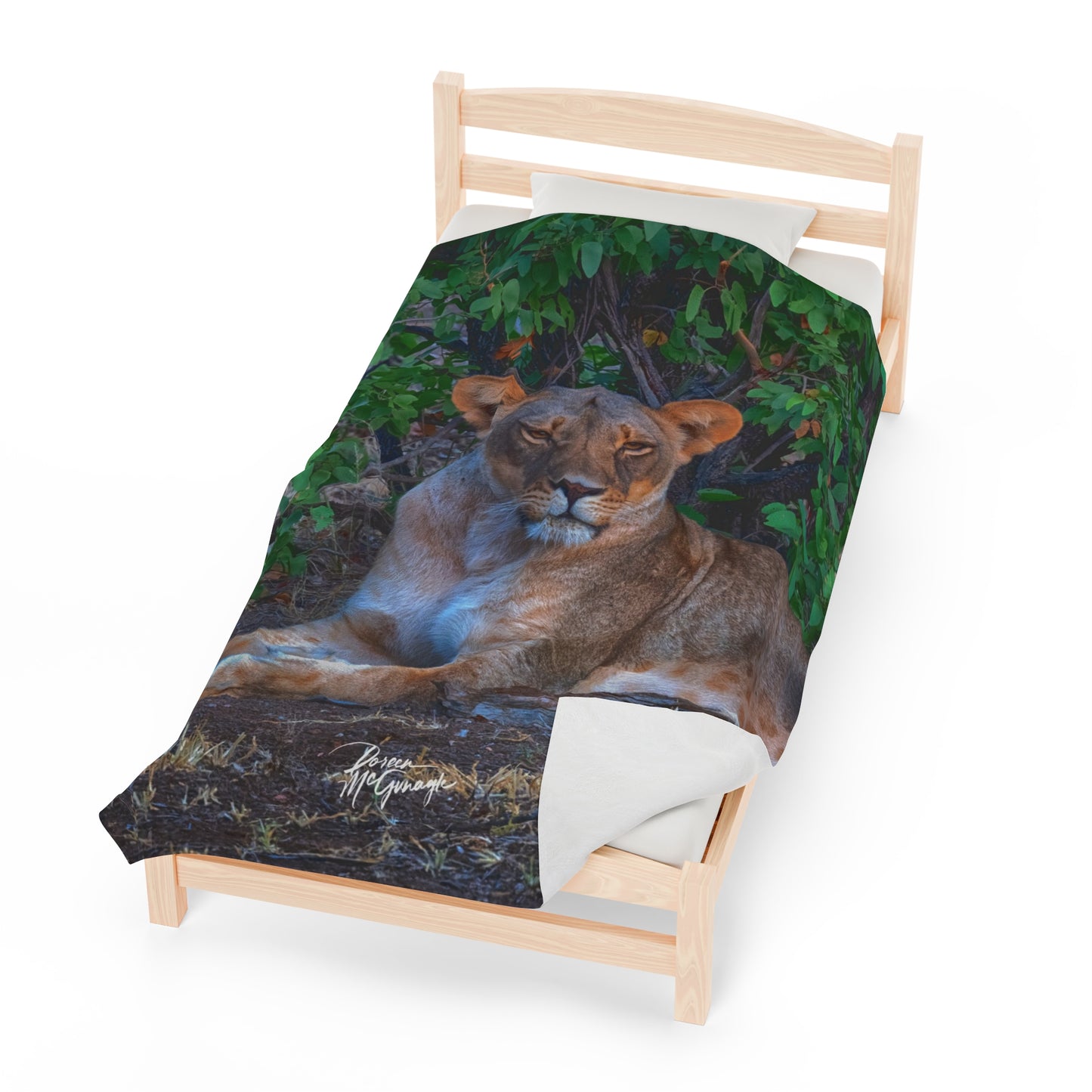 Velveteen Plush Blanket with Dreaming About a Lioness by Enjoy Nature