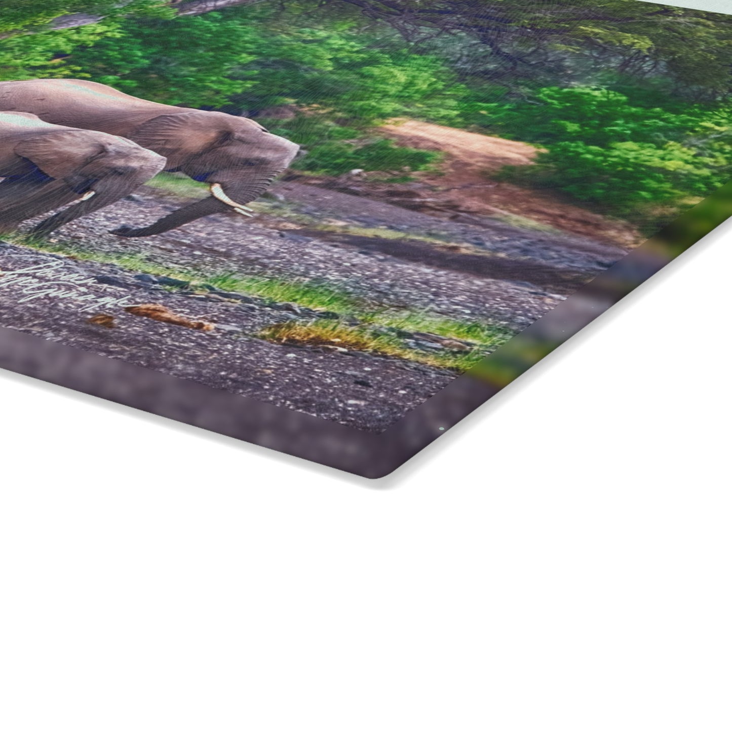 Enjoy Nature Glass Charcuterie Cutting Board with Elephant Family Design