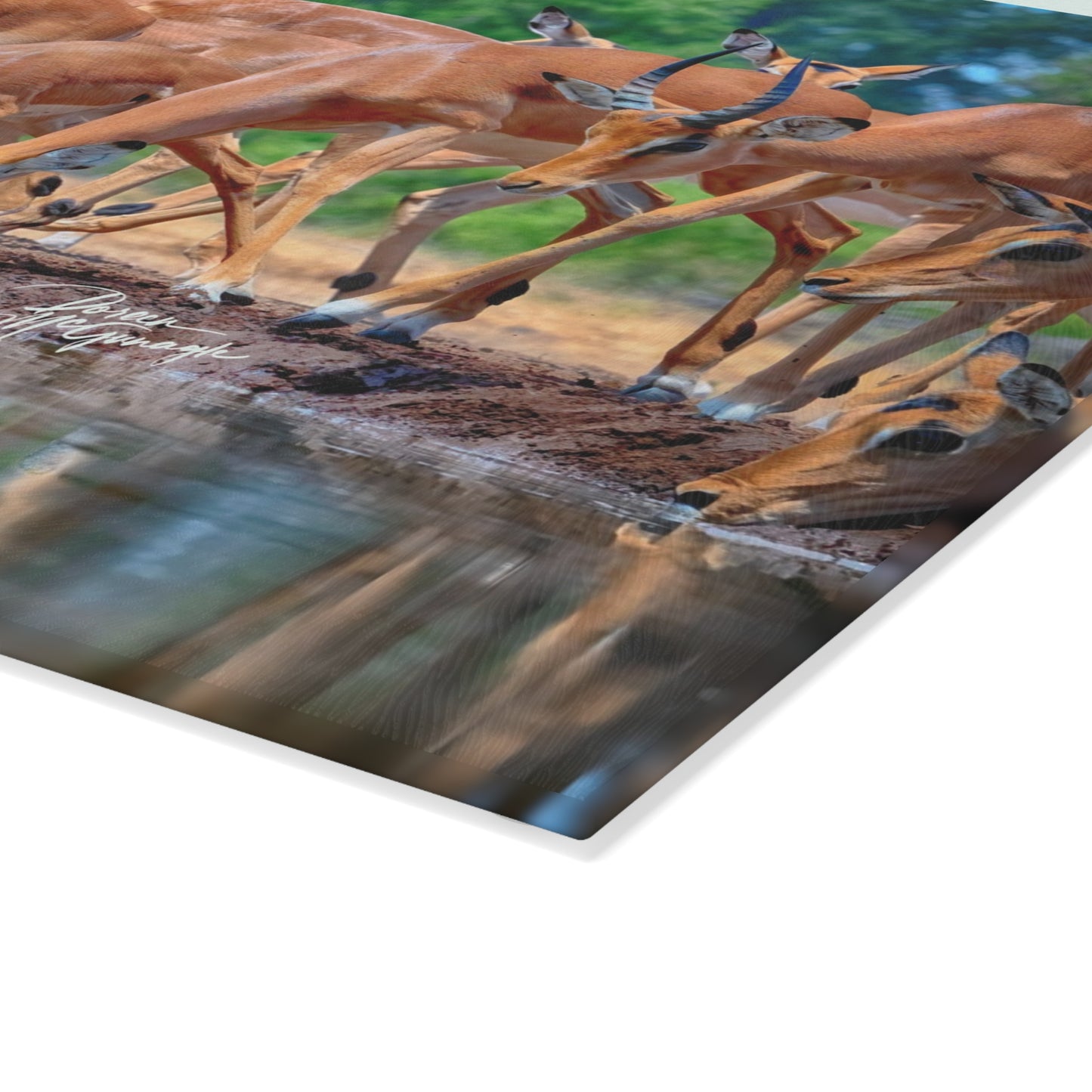 Enjoy Nature Glass Charcuterie Cutting Board with African Antelope at Watering Hole Design