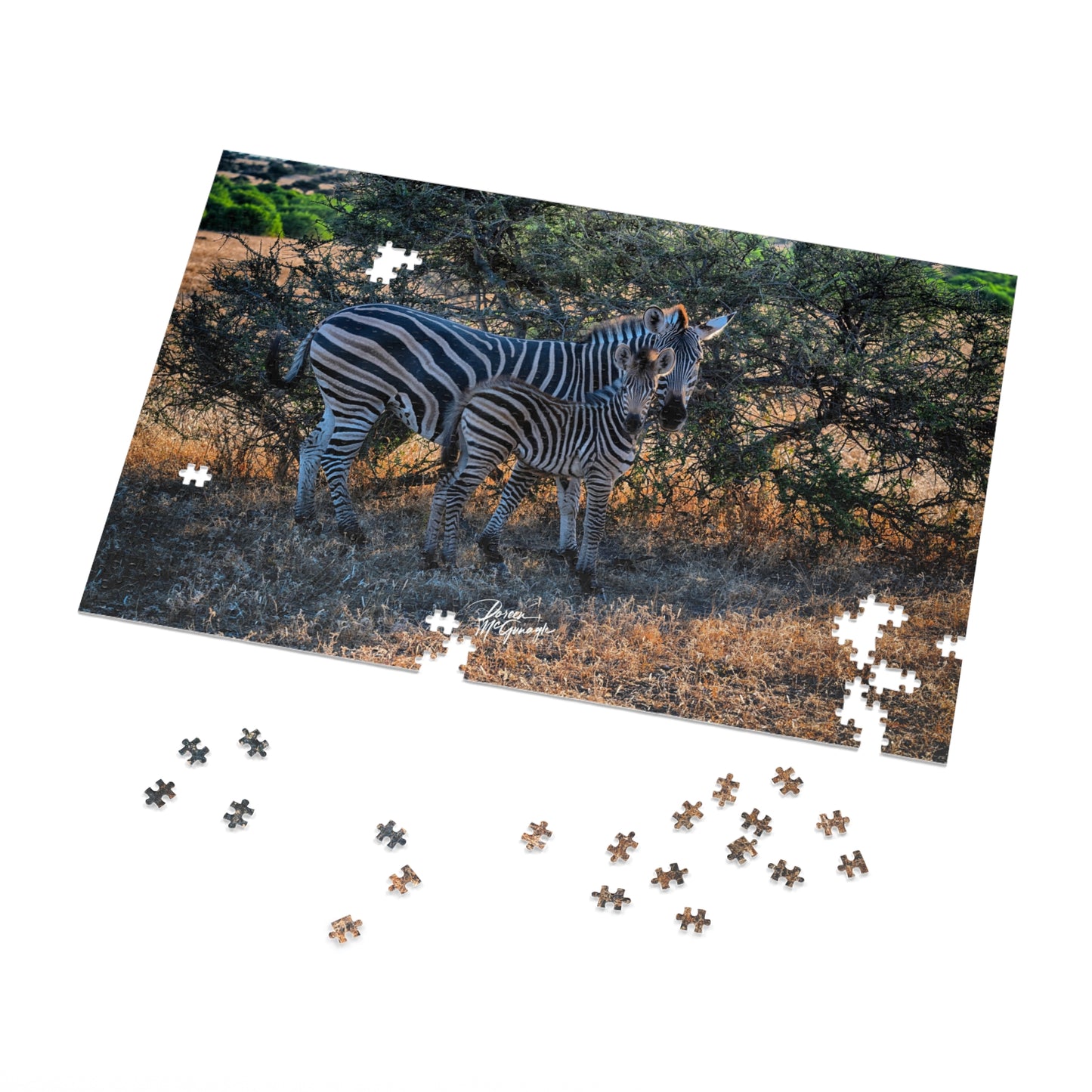 Zebra Stripes Jigsaw Puzzle by Enjoy Nature