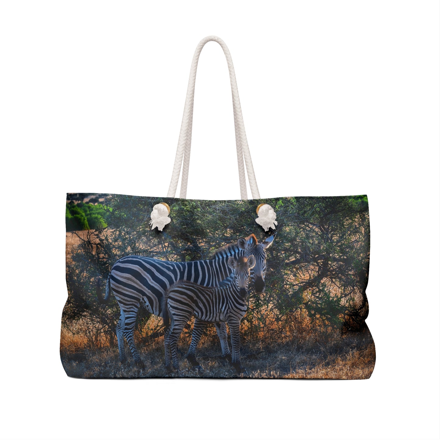 Weekender Tote Bag: Baby Zebra by Enjoy Nature