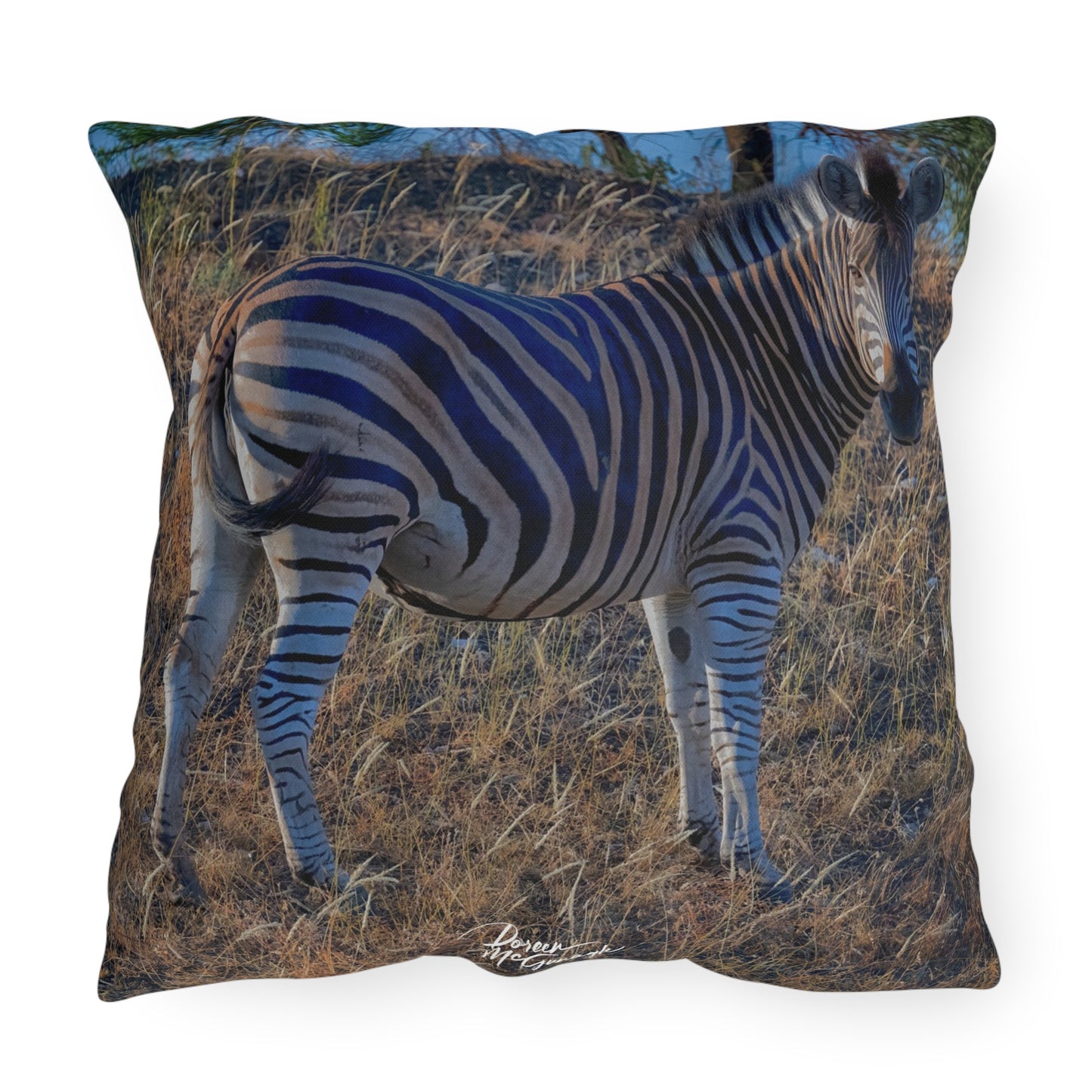 Enjoy Nature Outdoor Pillow with Baby Zebra – Artistic, Comfy, and Durable Decorative Accent