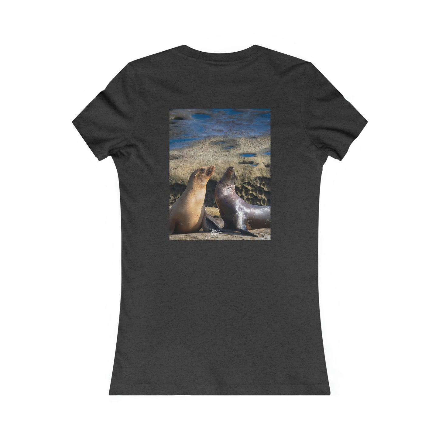 Womens fitted tee shirts Playful Serenade Sea Lions, summer t shirts