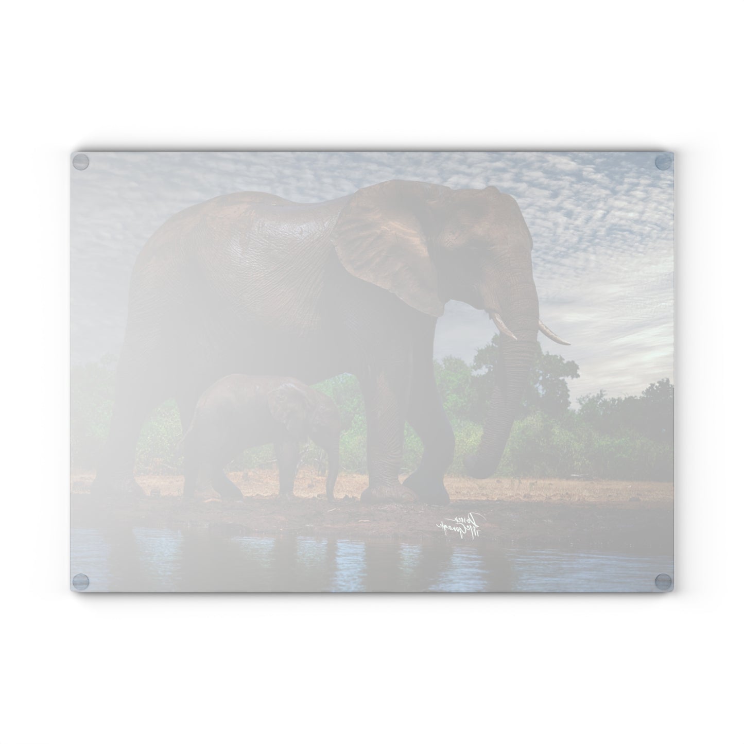 Enjoy Nature Glass Charcuterie Cutting Board with Elephant Baby Walking with Mom Design