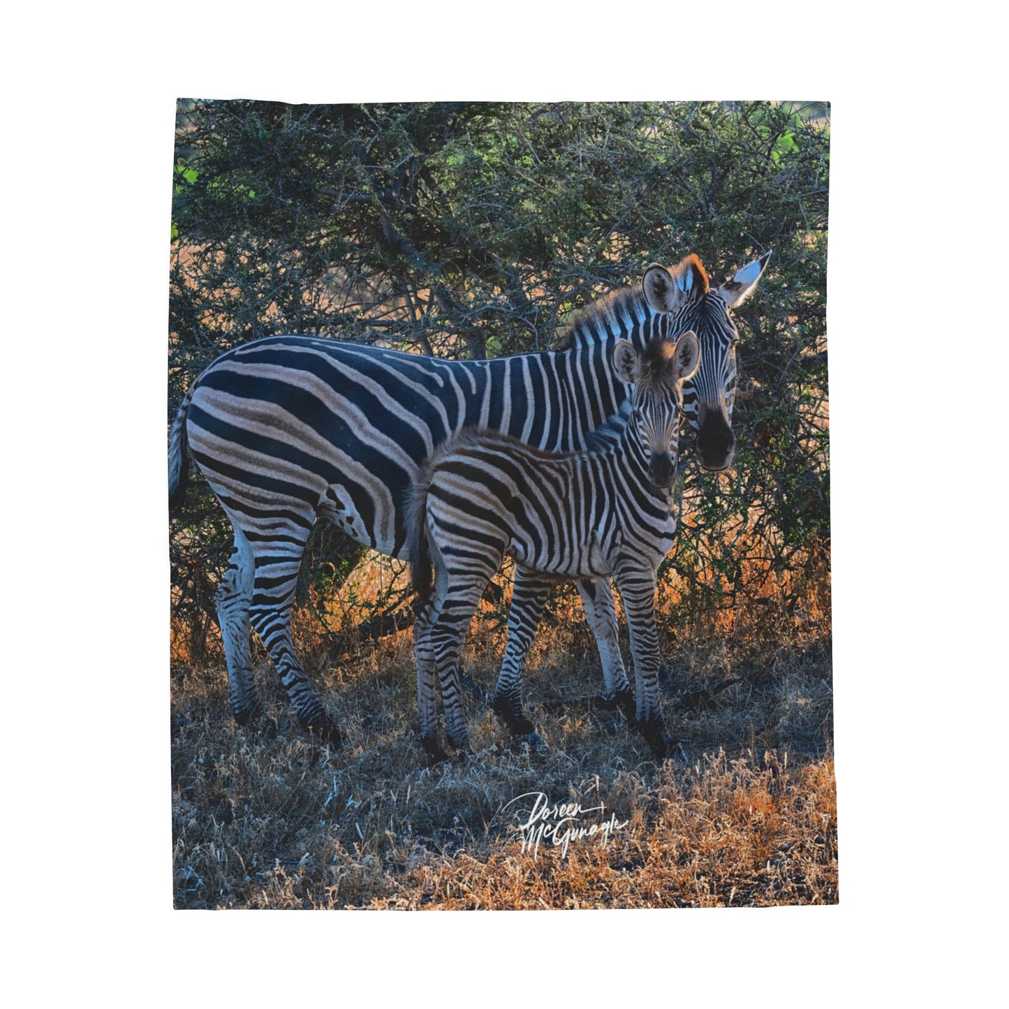 Velveteen Plush Blanket with Zebra Stripes by Enjoy Nature