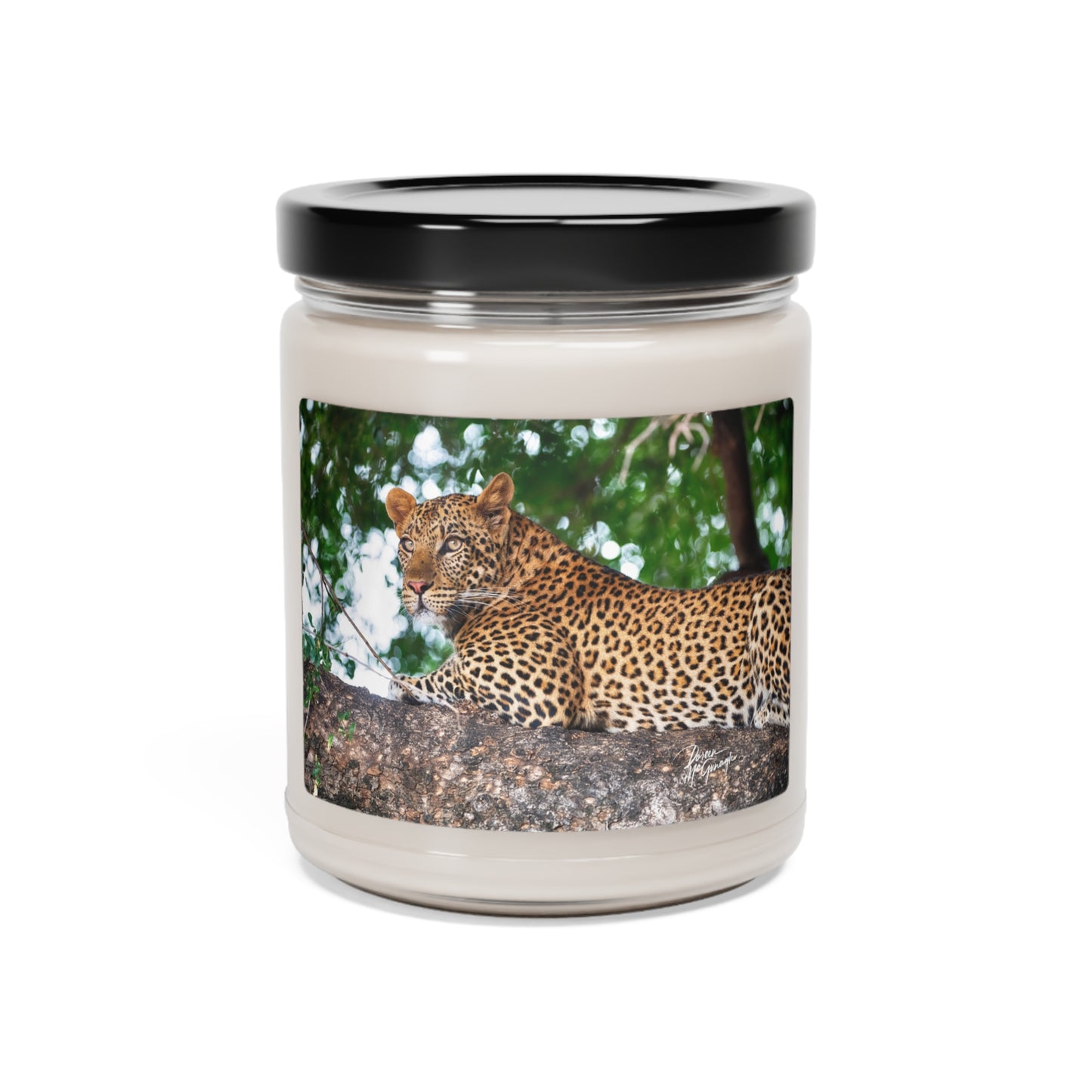 Experience the Pure Essence of Nature with the Leopard in Tree Scented Soy Candle by Enjoy Nature