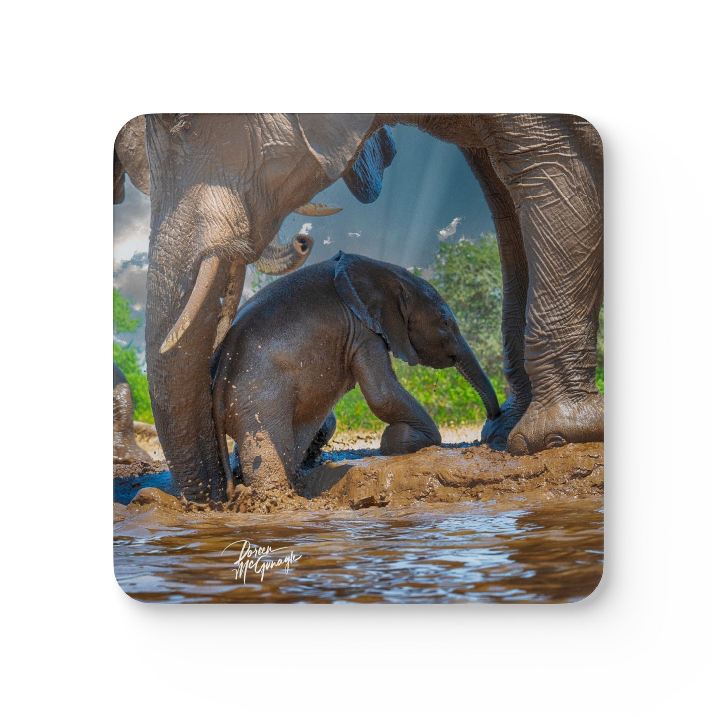 Spirited Elephant Baby Corkwood Coaster Set (Box of 4)