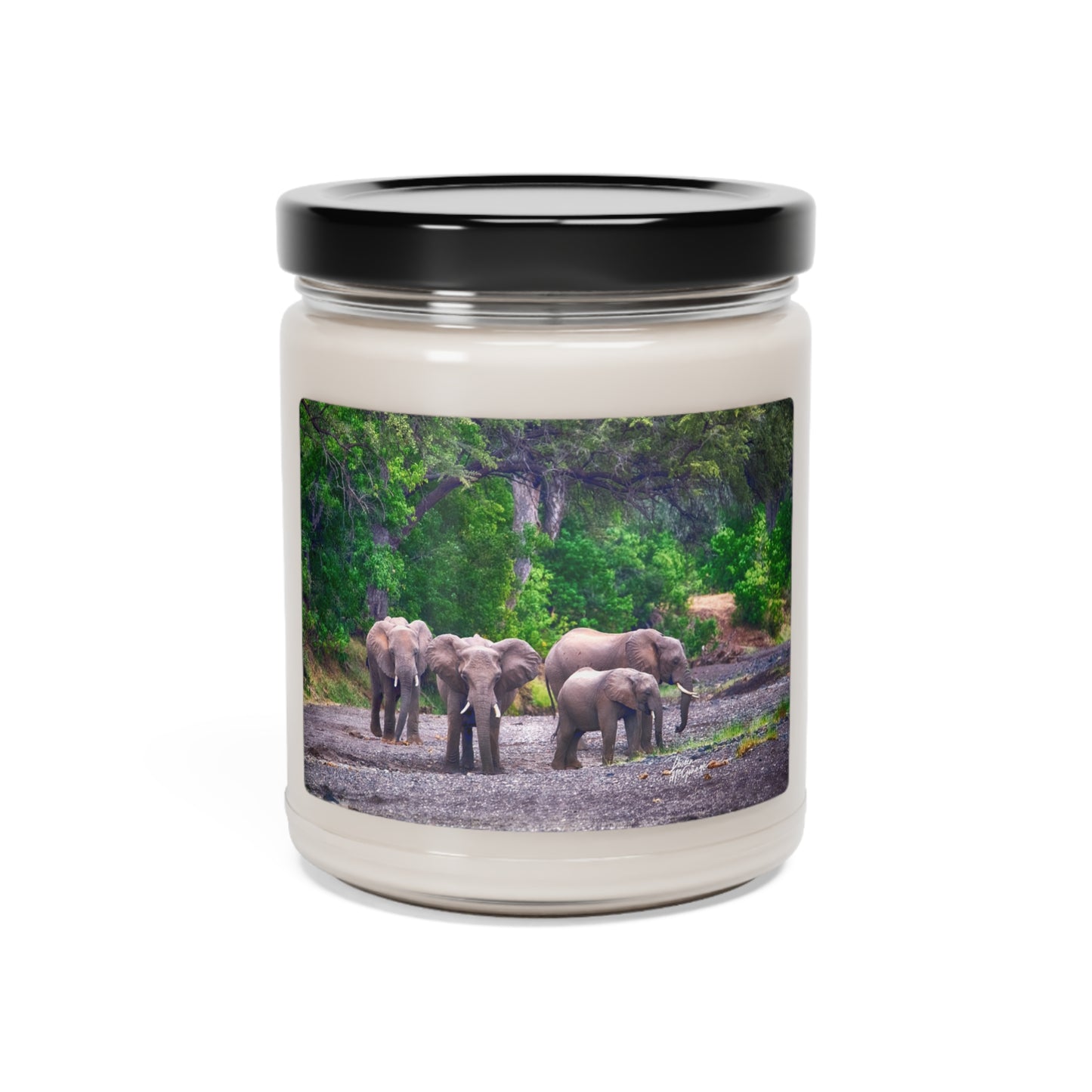 Experience the Pure Essence of Nature with the Elephant Family on Savanna Scented Soy Candle by Enjoy Nature