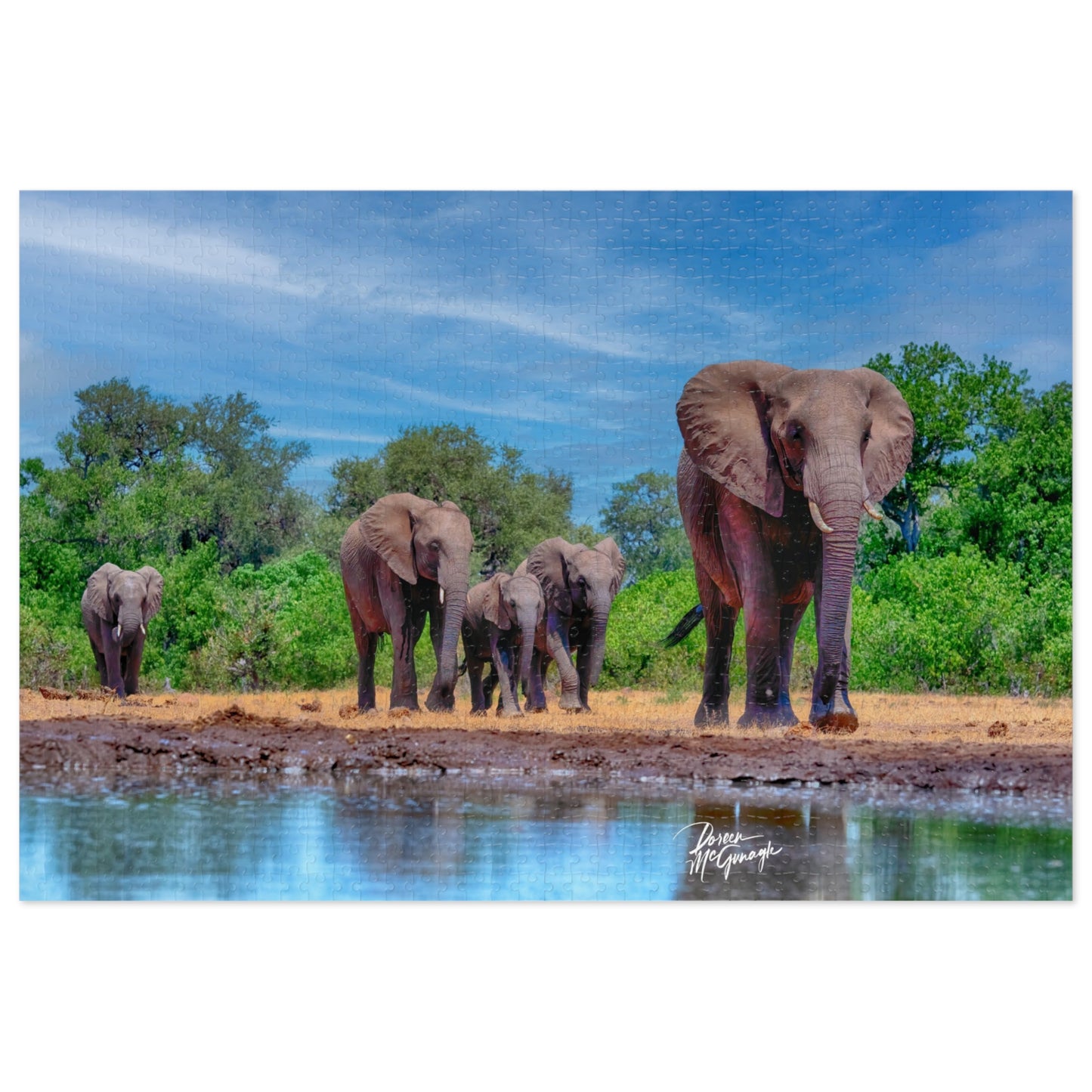 Spirited Elephant Herd Jigsaw Puzzle by Enjoy Nature