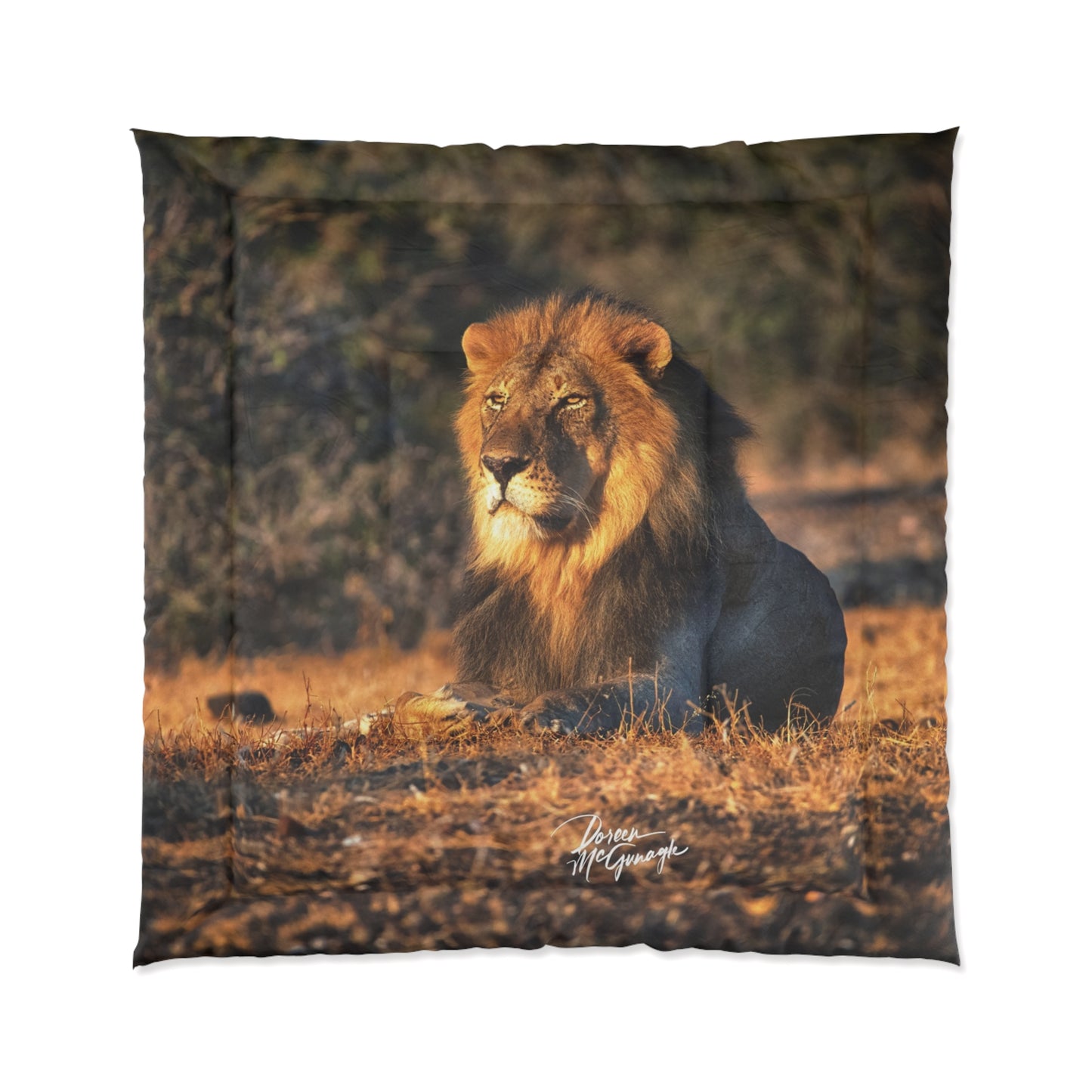 Lion King of the Jungle Comforter by Enjoy Nature