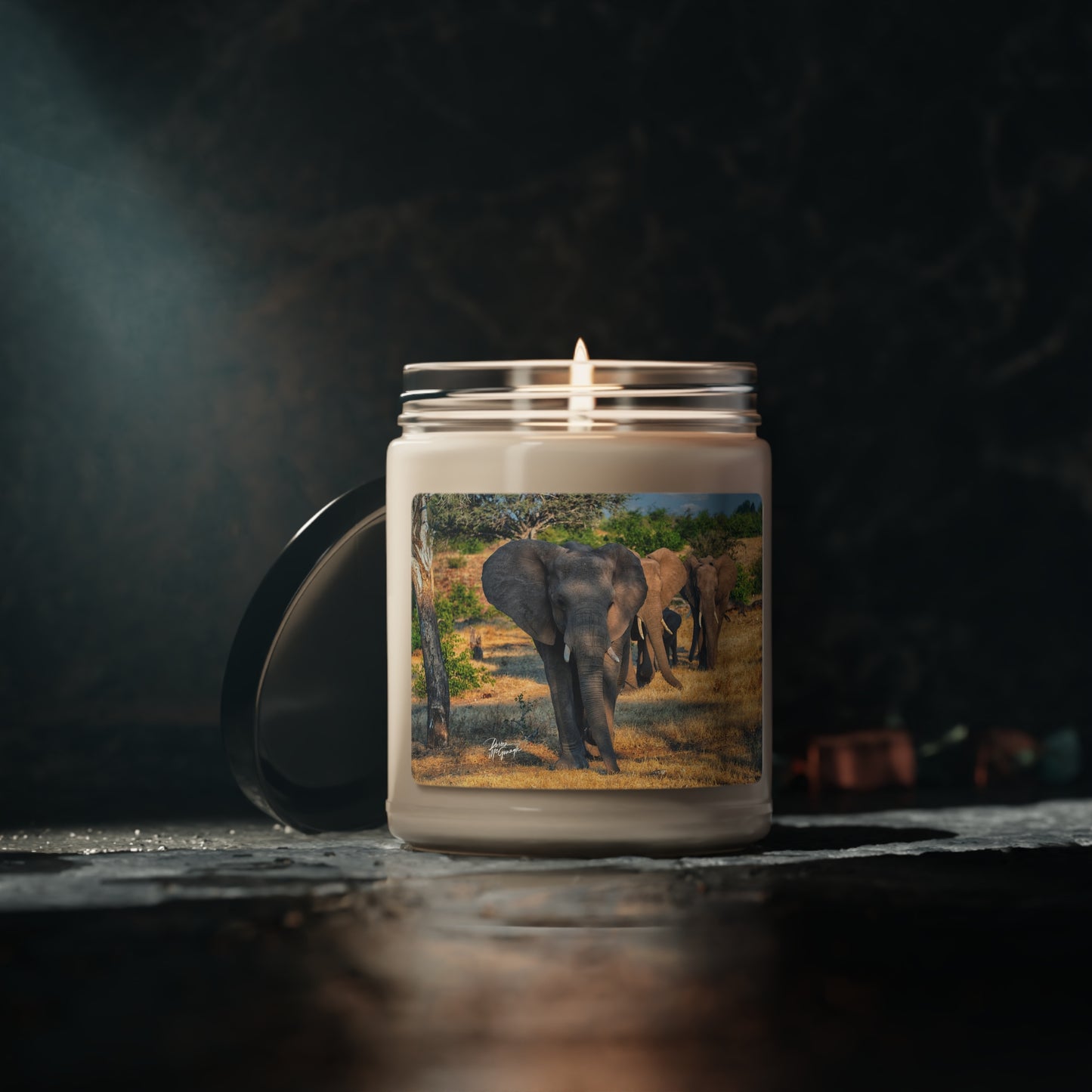 Experience the Pure Essence of Nature with the Elephant Walking Through African Savanna Scented Soy Candle by Enjoy Nature