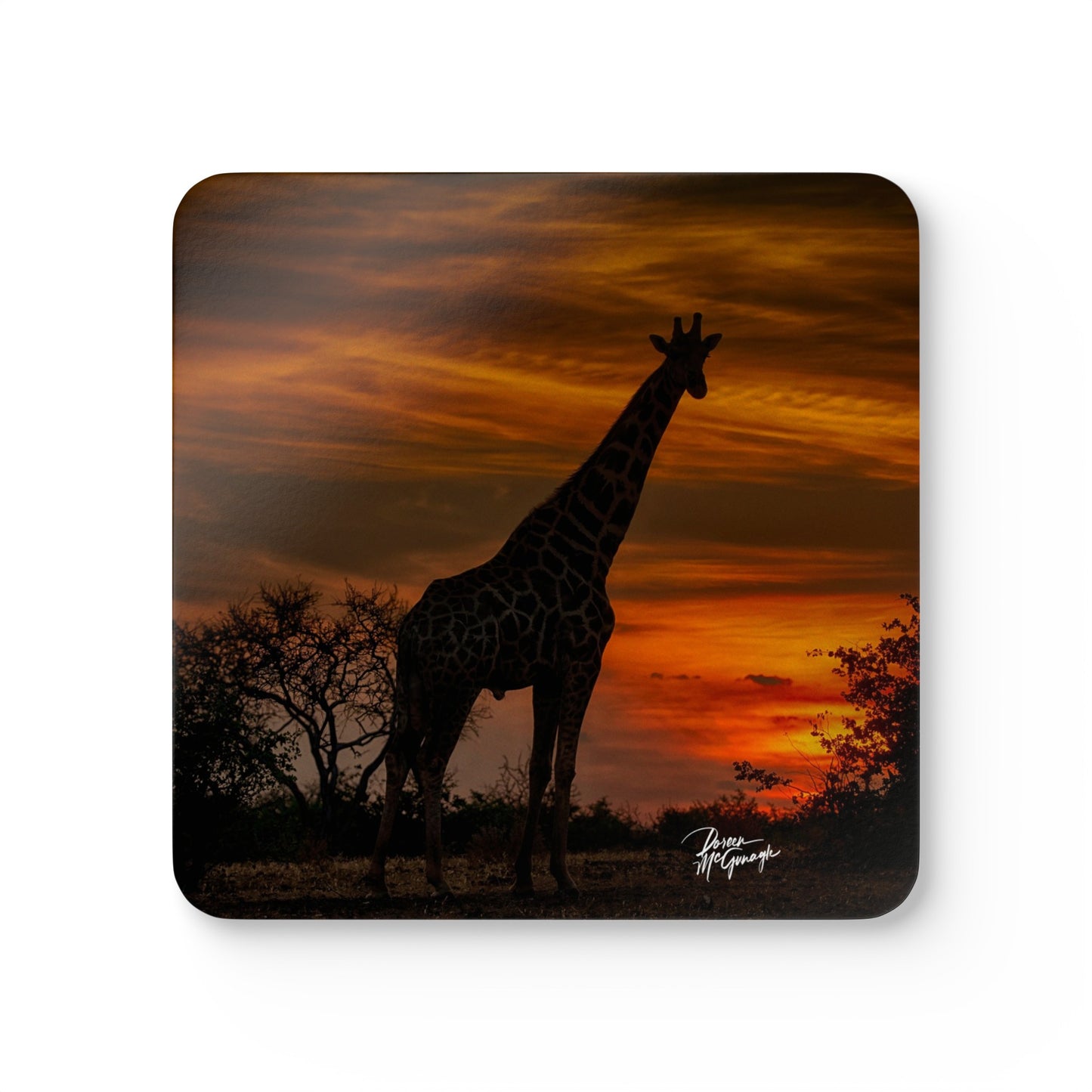 Forest Giraffe: A Sunset Silhouette Corkwood Coaster Set (Box of 4)