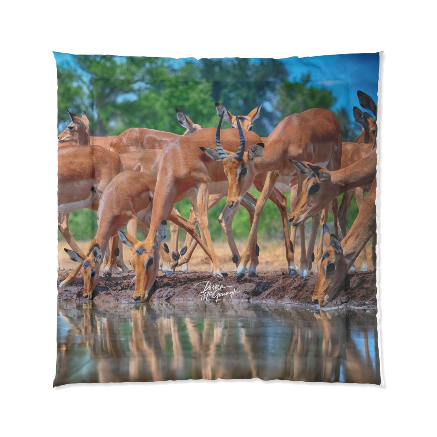 African Antelope at Watering Hole Comforter by Enjoy Nature