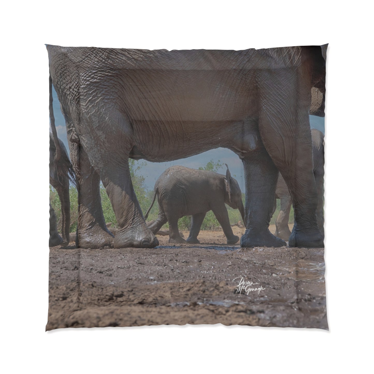 Elephant Baby Under Mom's Watchful Eye Comforter by Enjoy Nature