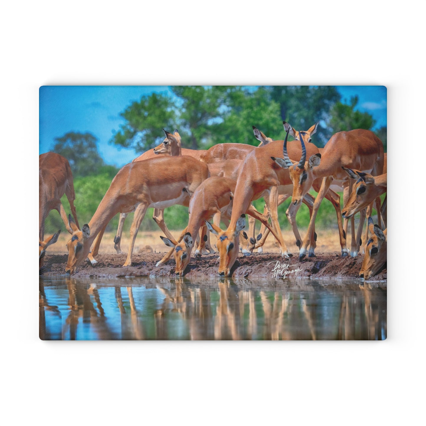 Enjoy Nature Glass Charcuterie Cutting Board with African Antelope at Watering Hole Design