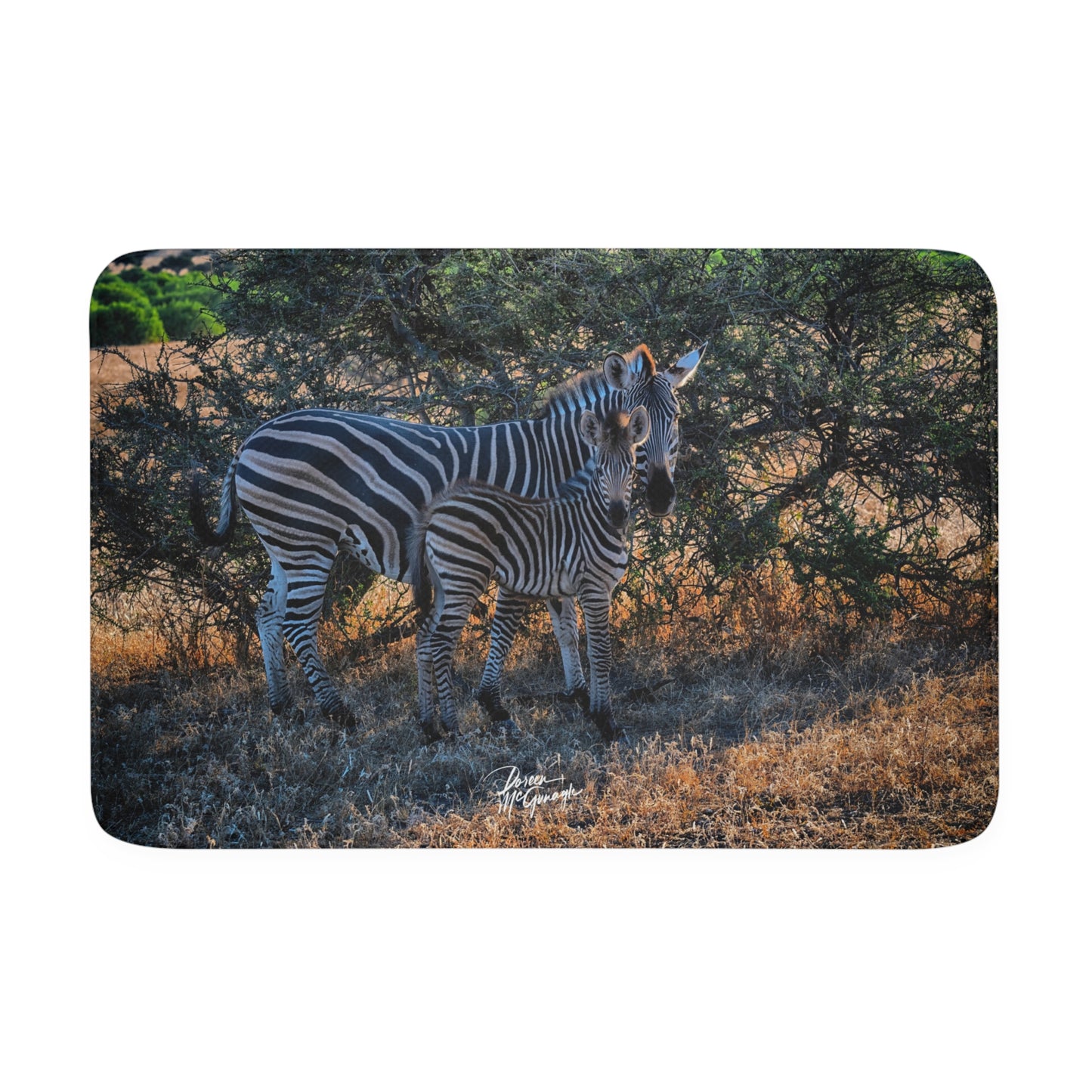 Zebra Stripes Memory Foam Bath Mat from Enjoy Nature