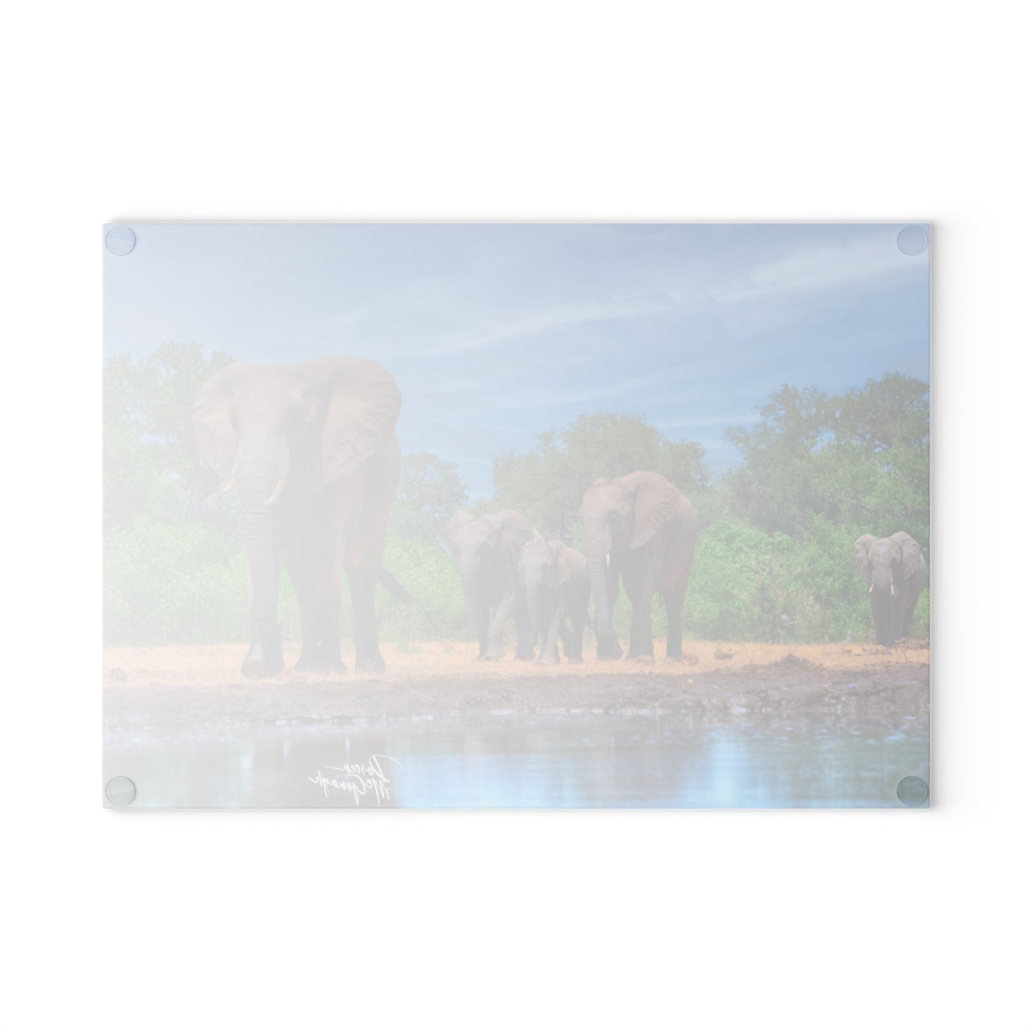 Enjoy Nature Glass Charcuterie Cutting Board with Elephant Family at Watering Hole Design