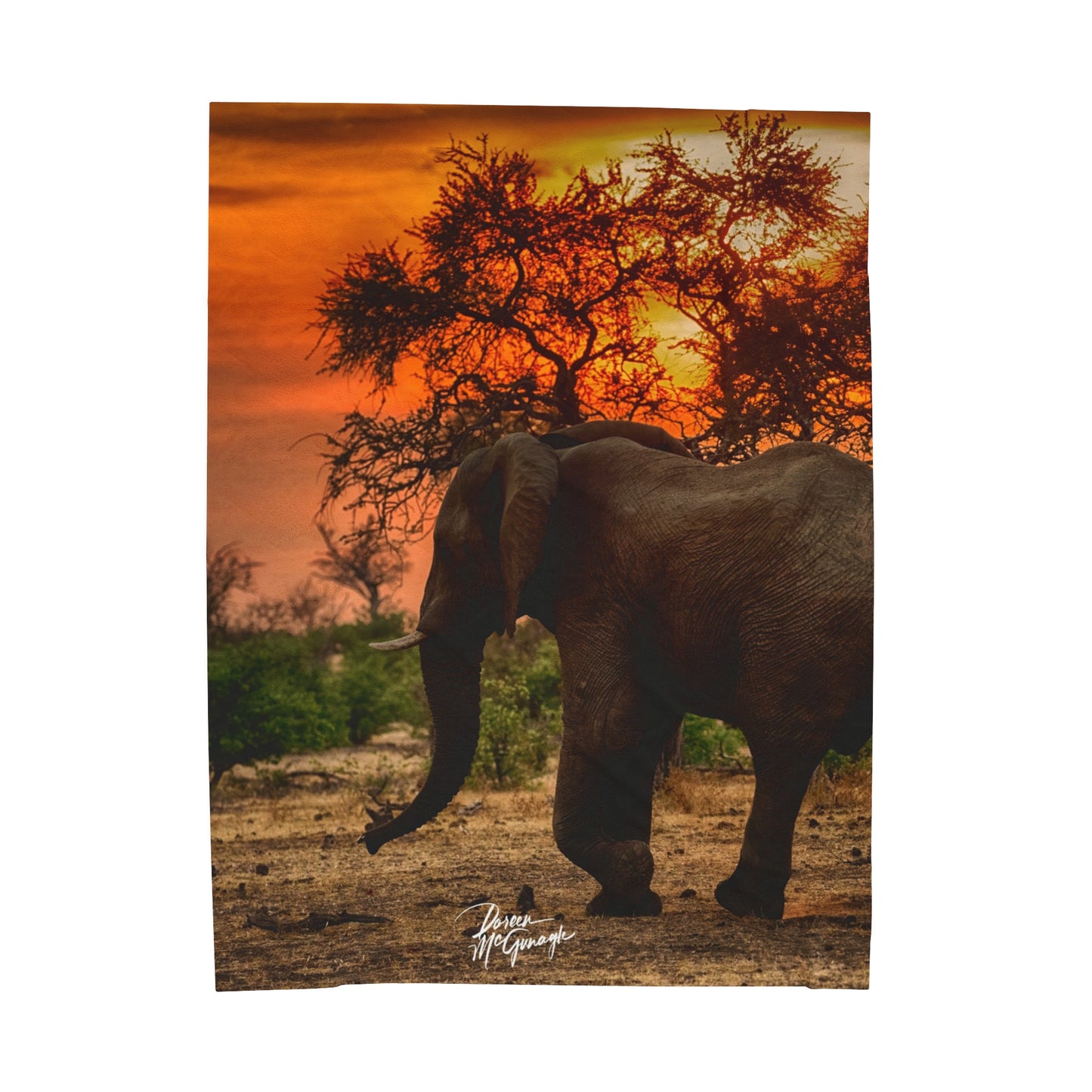 Velveteen Plush Blanket with Spirited Elephant Herd by Enjoy Nature