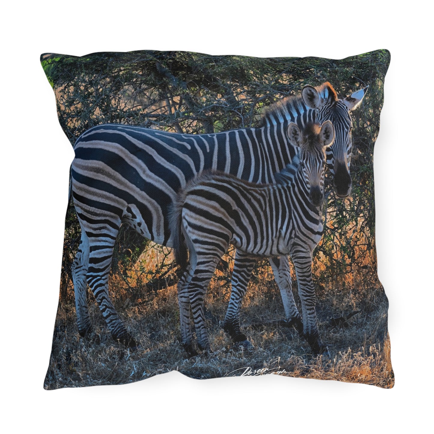 Enjoy Nature Outdoor Pillow with Zebra Stripes – Artistic, Comfy, and Durable Decorative Accent