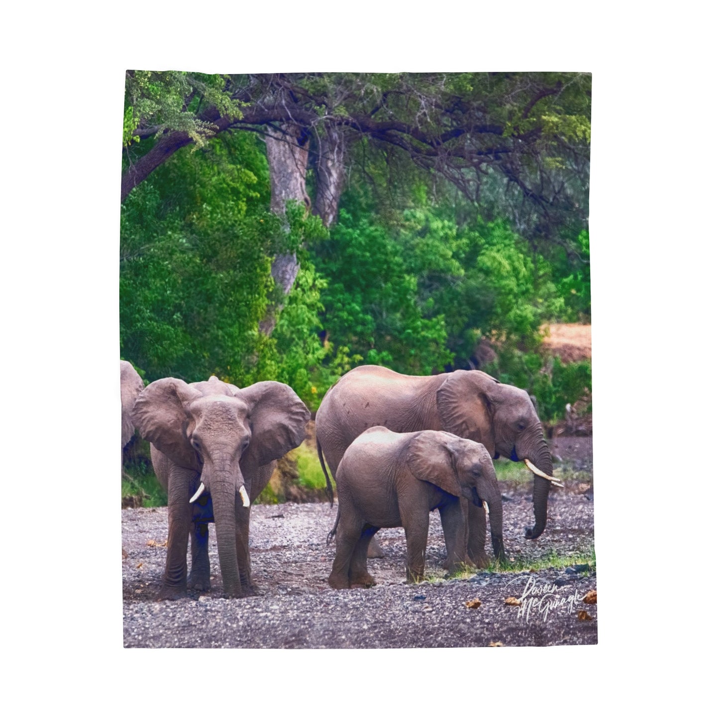 Velveteen Plush Blanket with Elephant Family at Riverbed by Enjoy Nature