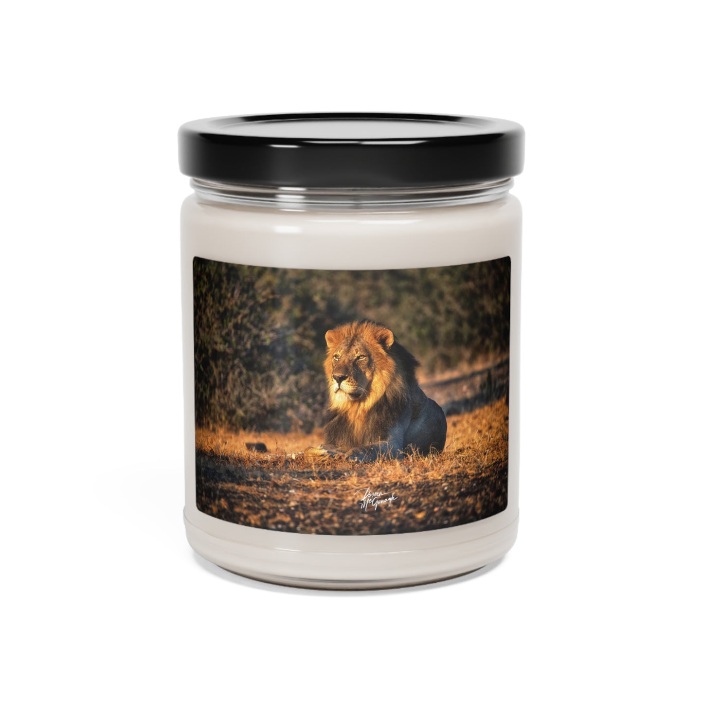 Experience the Pure Essence of Nature with the Lion King of Jungle Scented Soy Candle by Enjoy Nature